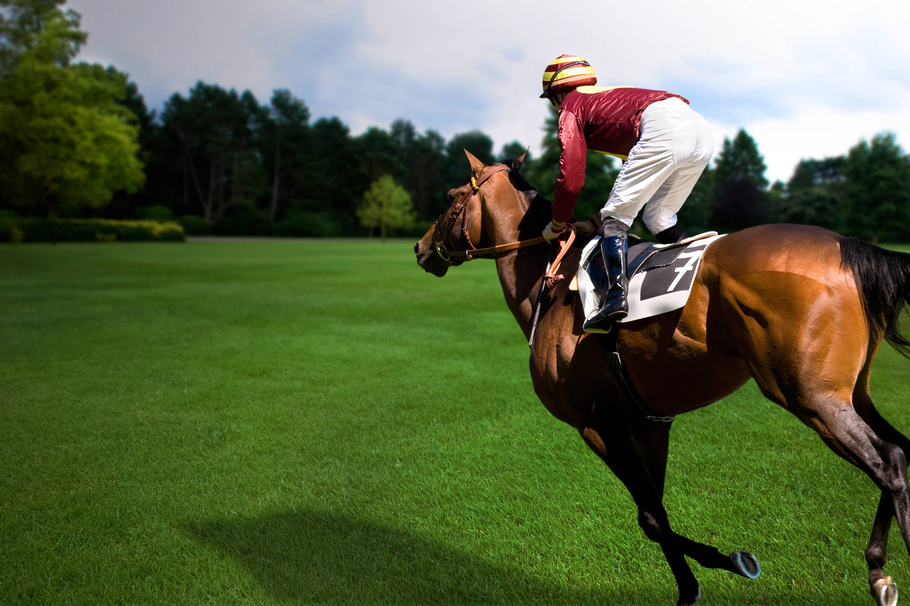 Horse Racing 桌布 壁紙 — 一位身穿紅白色賽馬服的騎師向前傾，一匹栗色馬在部分多雲的天空下奔馳過充滿活力的綠色田野。