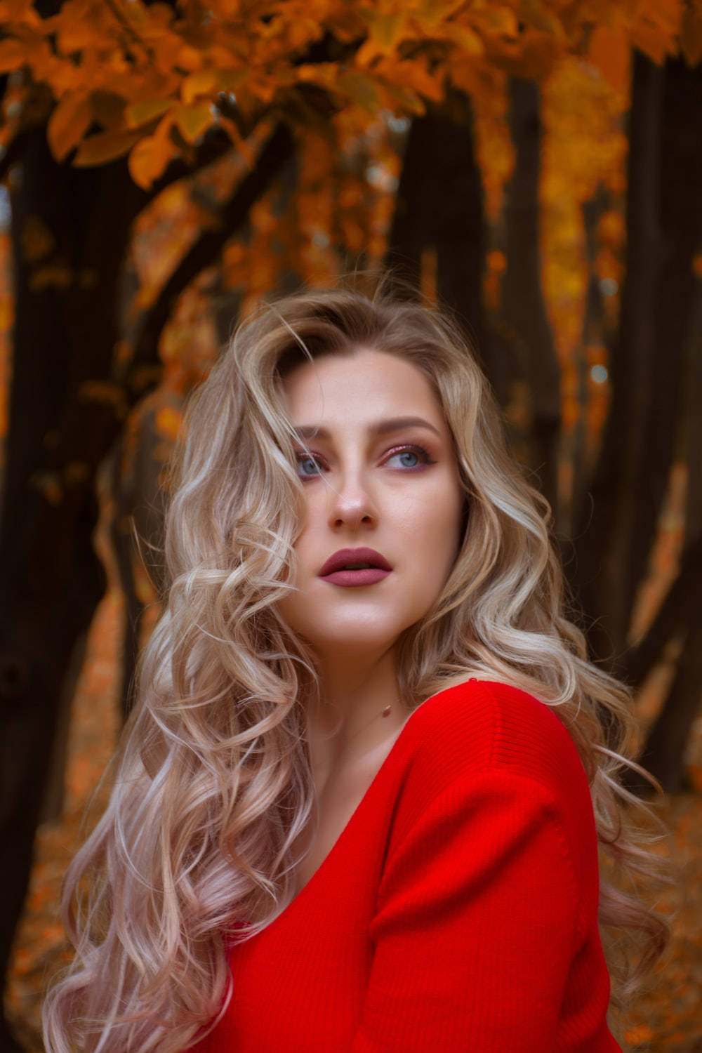 blonde 桌布 壁紙 — 一位身穿紅色毛衣的女性站在金黃色的秋樹之間，柔和的光線穿過樹葉灑落下來。