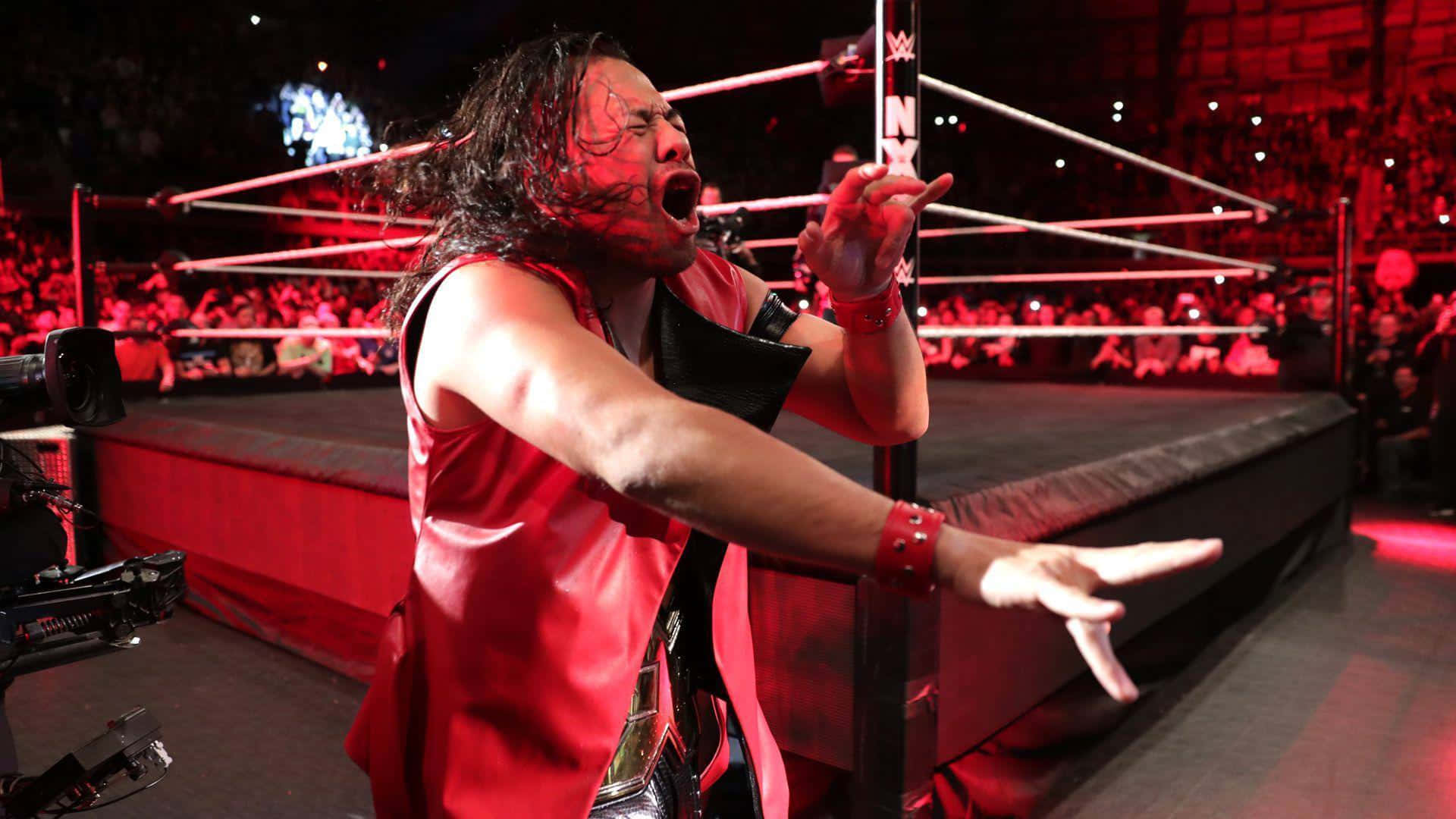 WWE 桌布 壁紙 — 一位身穿紅色皮革的摔角手在明亮的紅燈下從擂台繩索上向人群熱情地尖叫。