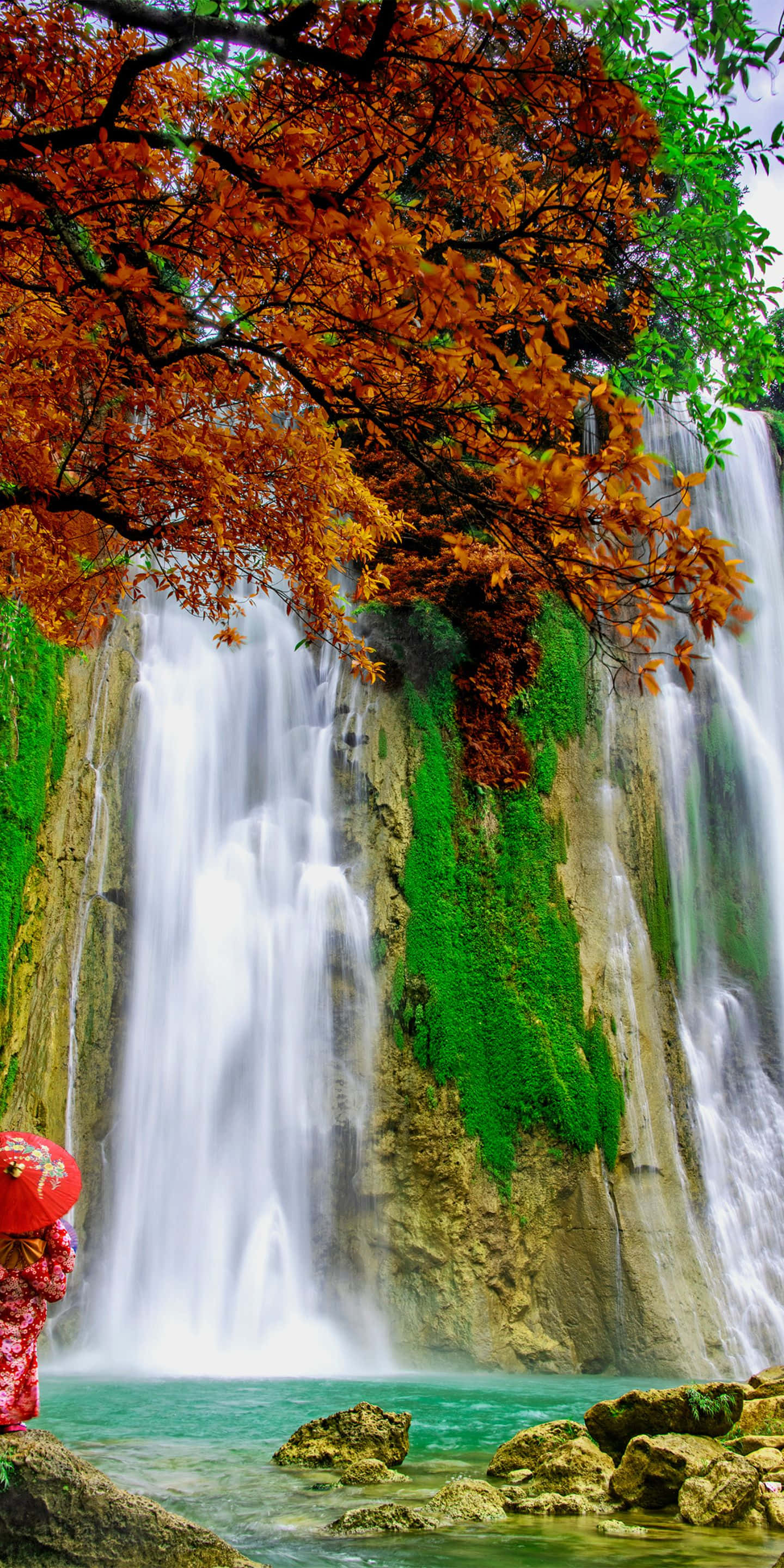 1440x2880 桌布 壁紙 — 一位身穿紅色花卉服飾的人，在由鮮豔橙色和綠色樹葉環繞的瀑布旁撐著一把紅色雨傘。