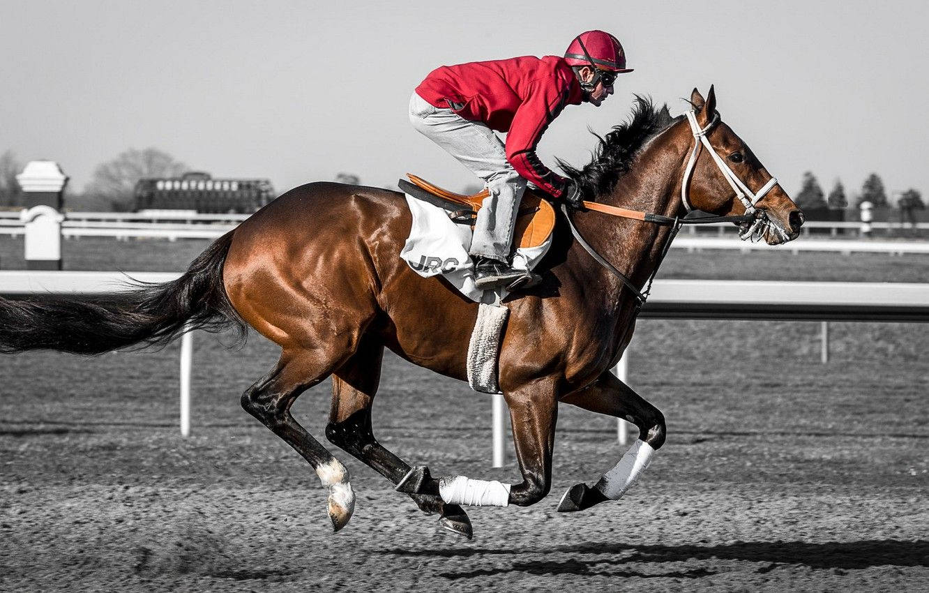 Horse Racing 桌布 壁紙 — 一位身穿紅色衣服的騎師在單色背景的泥地賽道上，騎著一匹奔馳的栗色賽馬傾身入彎。
