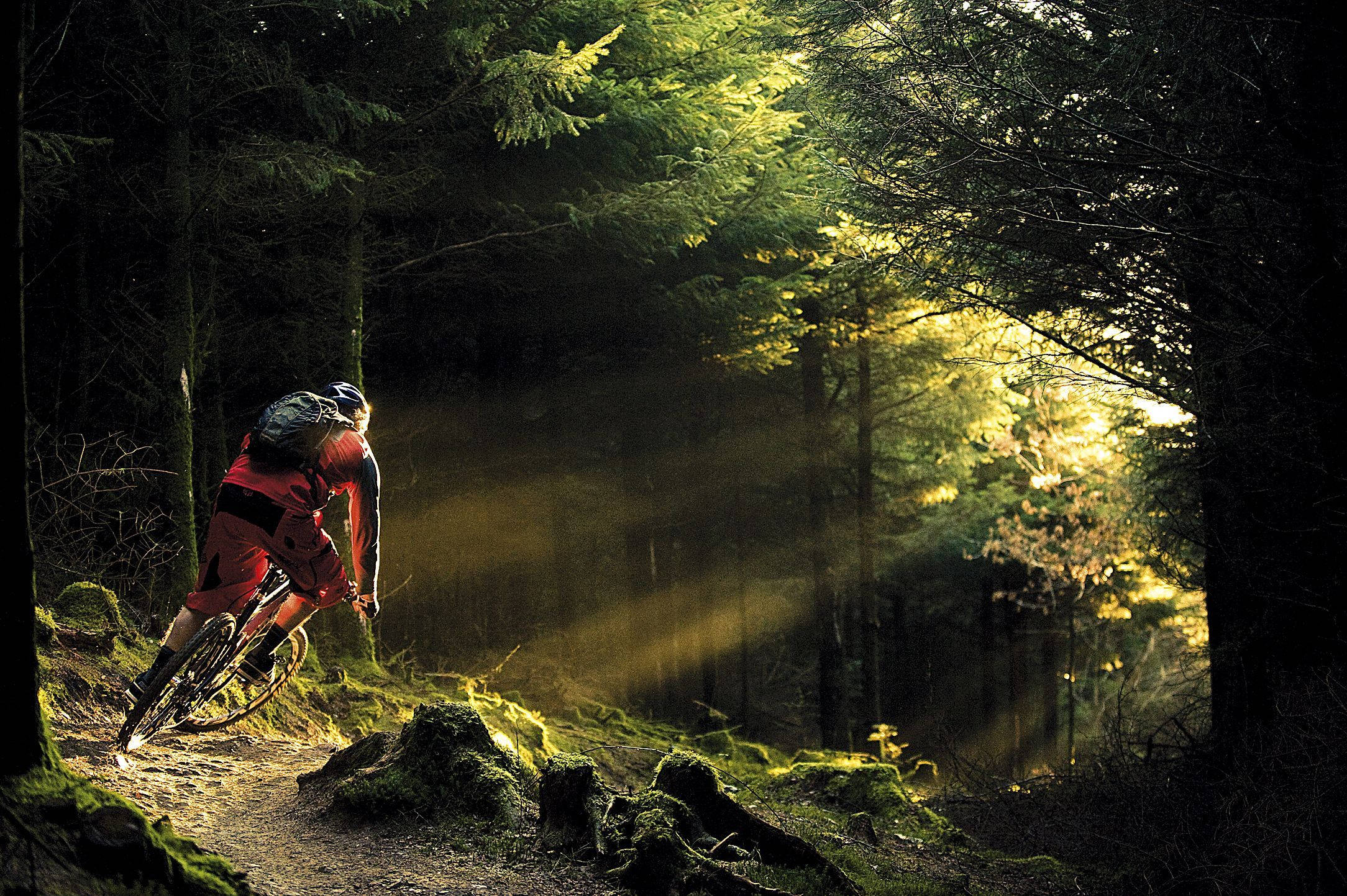 Mountain Bike 桌布 壁紙 — 一位身穿紅色裝備的自行車騎士踩著踏板穿過長滿苔蘚的森林，金色的陽光穿過樹木照射下來。