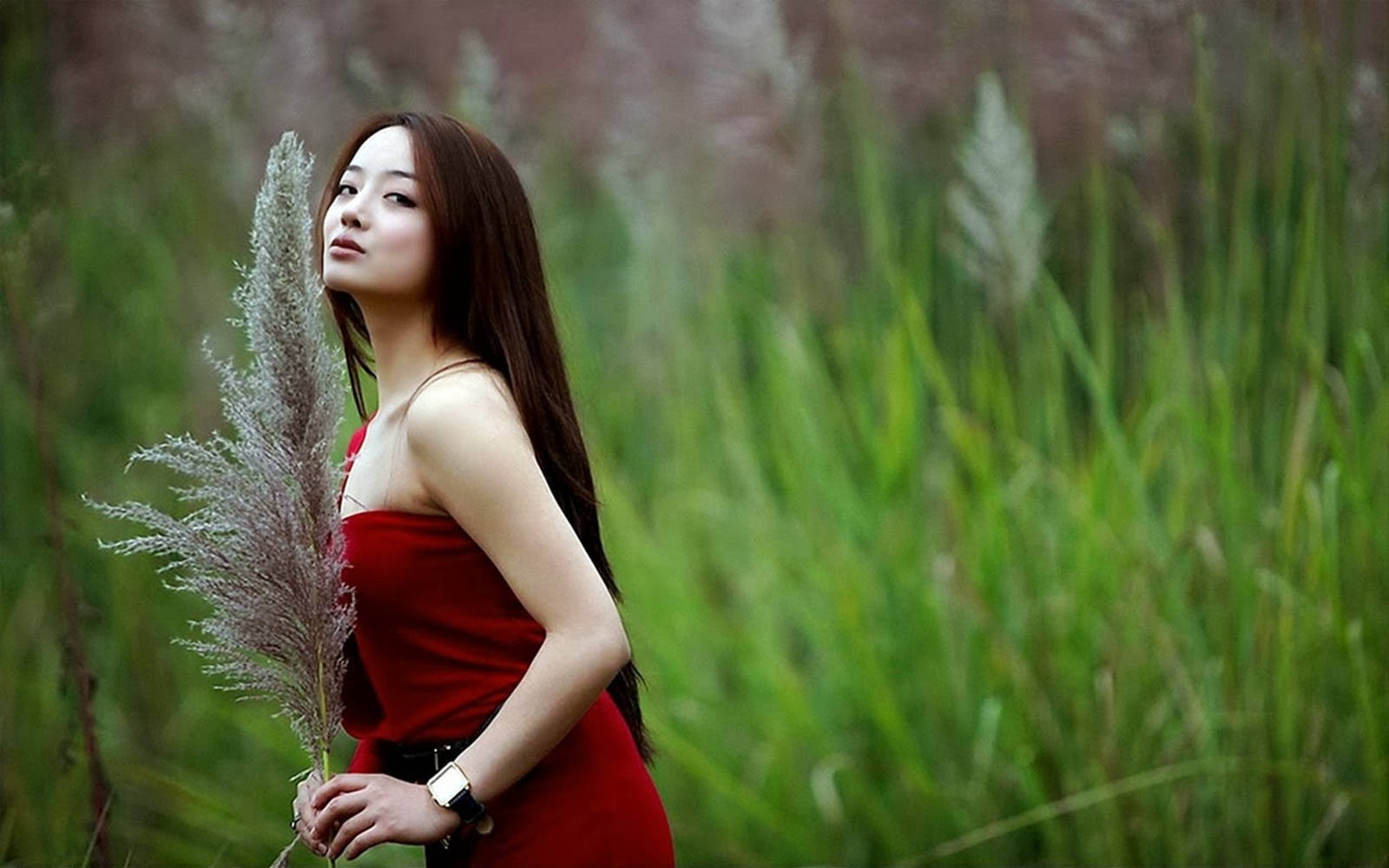 美女 桌布 壁紙 — 一位身穿紅色連衣裙的女性手持蒲葦，在鬱鬱蔥蔥的綠色田野中向上凝視。