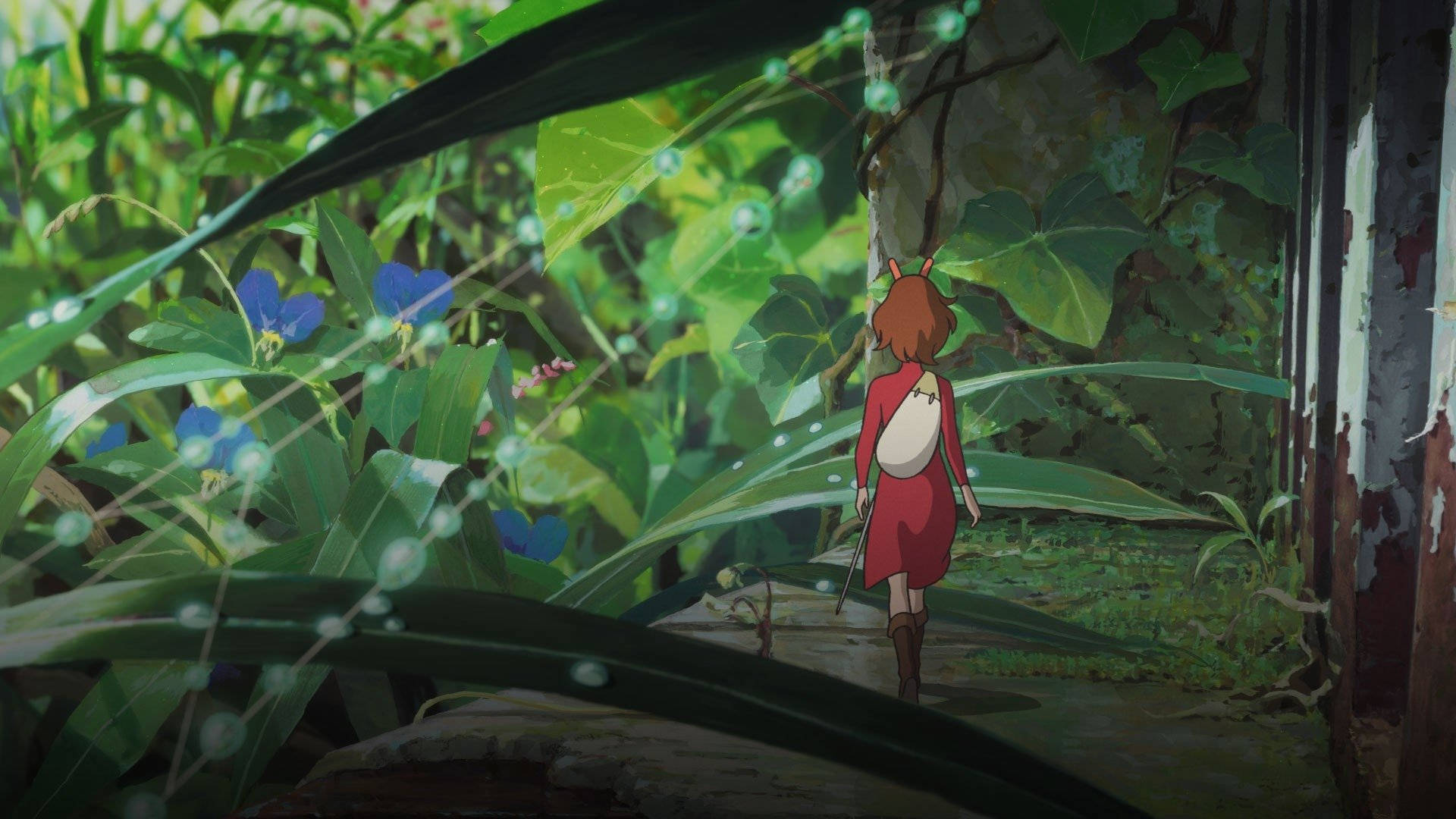 Arrietty 桌布 壁紙 — 一位身穿紅衣的年輕女孩走過一片鬱鬱蔥蔥的綠色森林，樹葉上有露珠和藍色花朵。