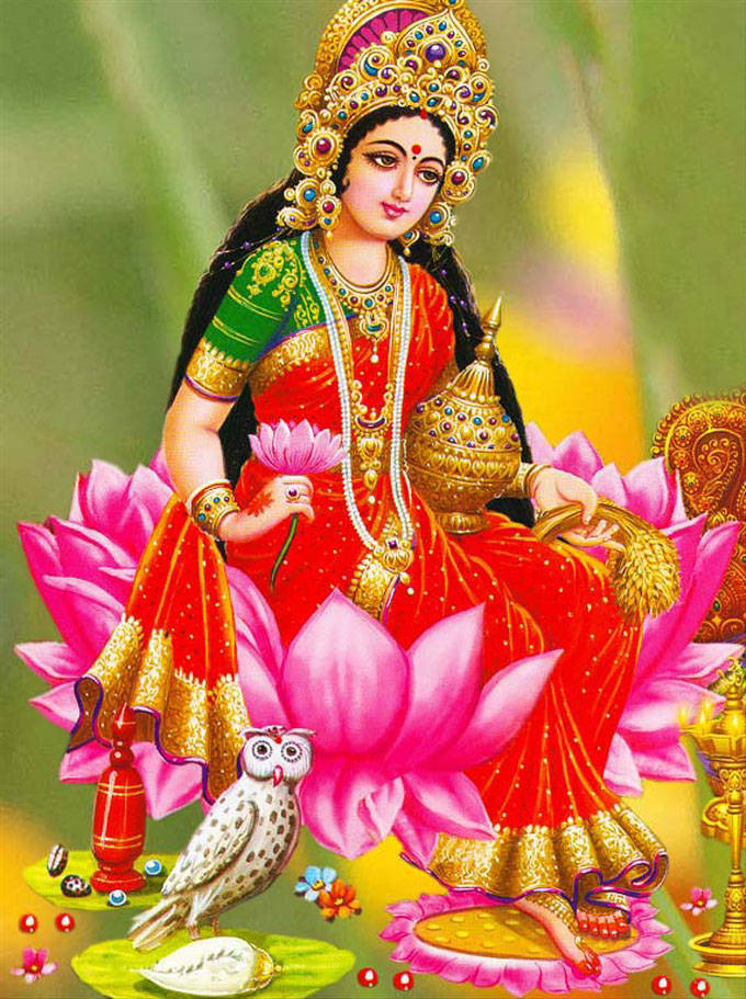 Lakshmi Devi 桌布 壁紙 — 一位身穿紅金服飾的女神優雅地坐在粉紅蓮花上，旁邊有一隻貓頭鷹。