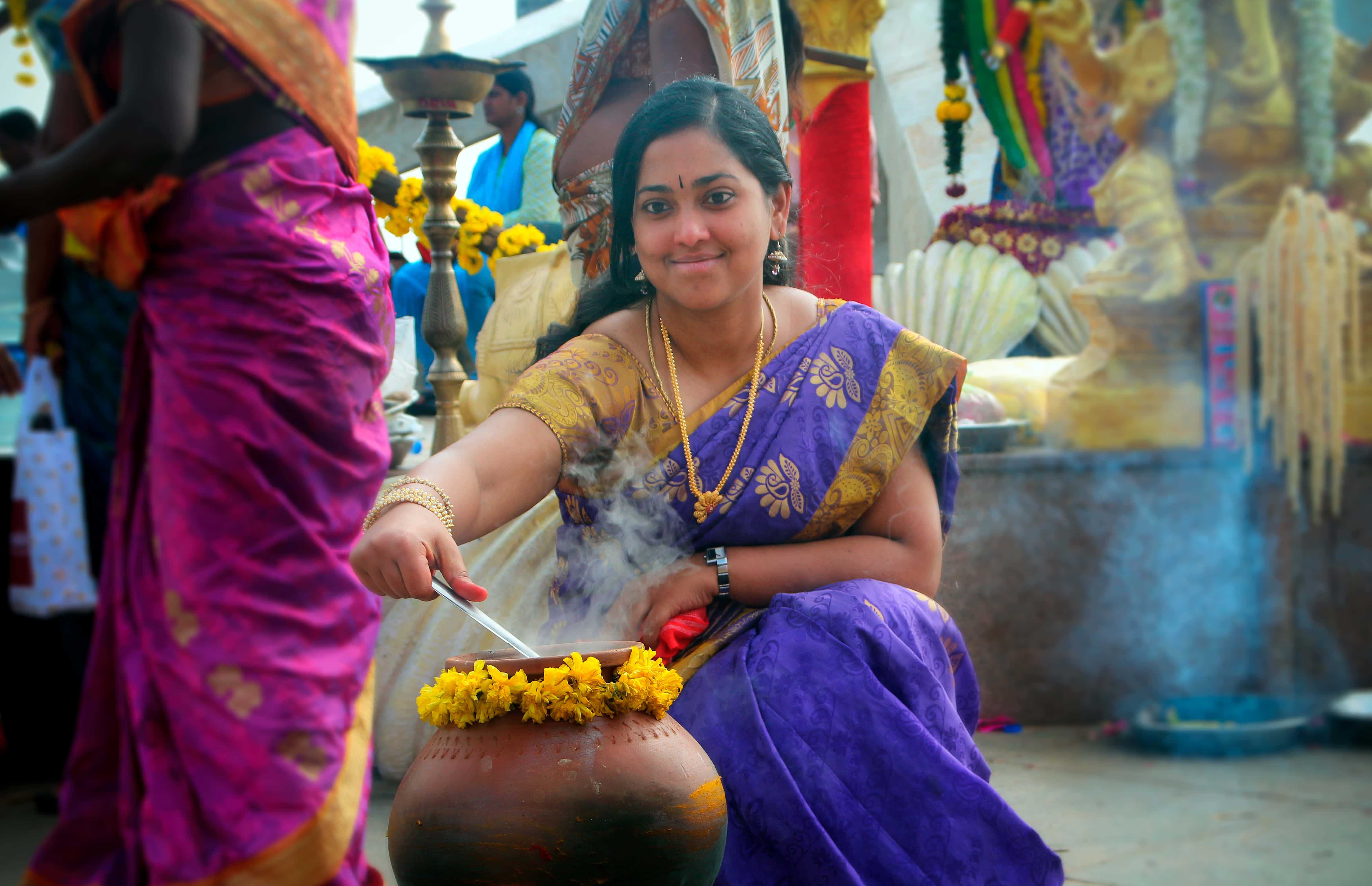 Pongal 桌布 壁紙 — 一位身穿紫色和金色紗麗的女性微笑著攪拌一個裝飾著黃色花朵、冒著蒸氣的鍋，背景是充滿活力的寺廟儀式。