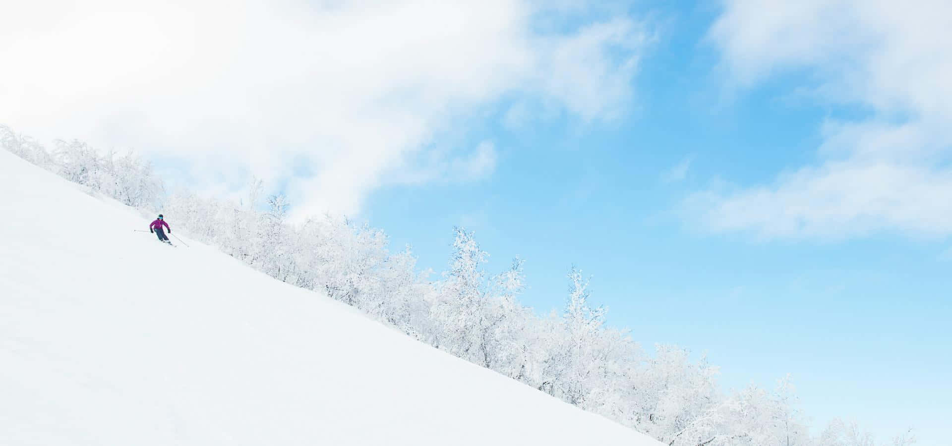 滑雪 桌布 壁紙 — 一位身穿紫色的孤獨滑雪者，在點綴著蓬鬆白雲的明亮藍天下，沿著純淨的雪坡滑下。
