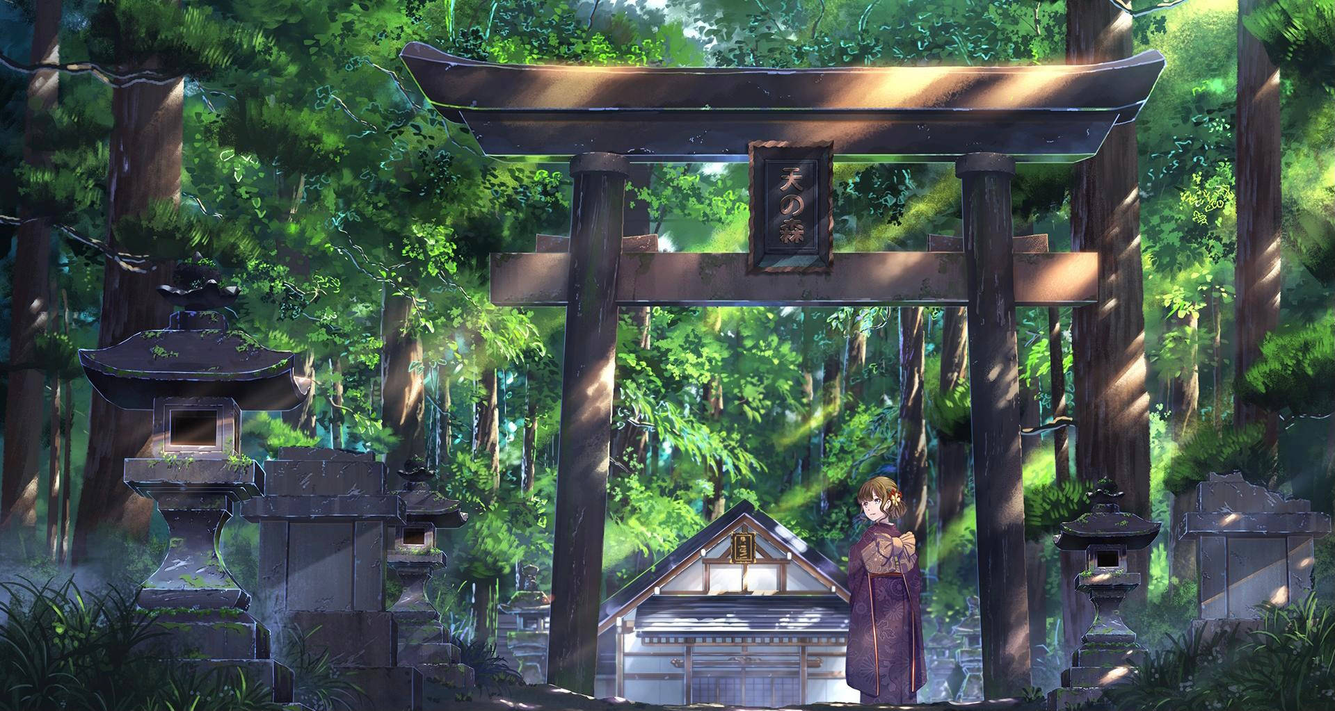 Torii 桌布 壁紙 — 一位身穿紫色長袍的年輕女孩站在木製鳥居前，身處陽光斑駁的日本森林神社。