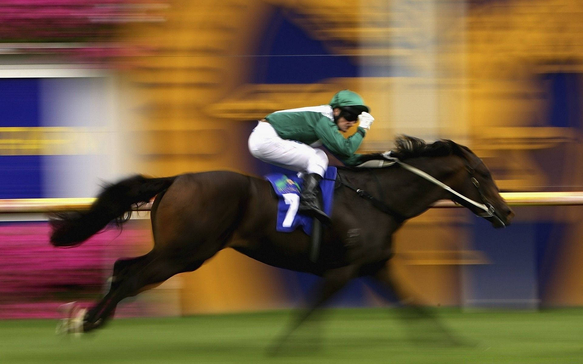 Horse Racing 桌布 壁紙 — 一位身穿綠色和白色衣服的騎師向前傾，一匹深色馬在色彩模糊的背景中高速奔馳在賽道上。