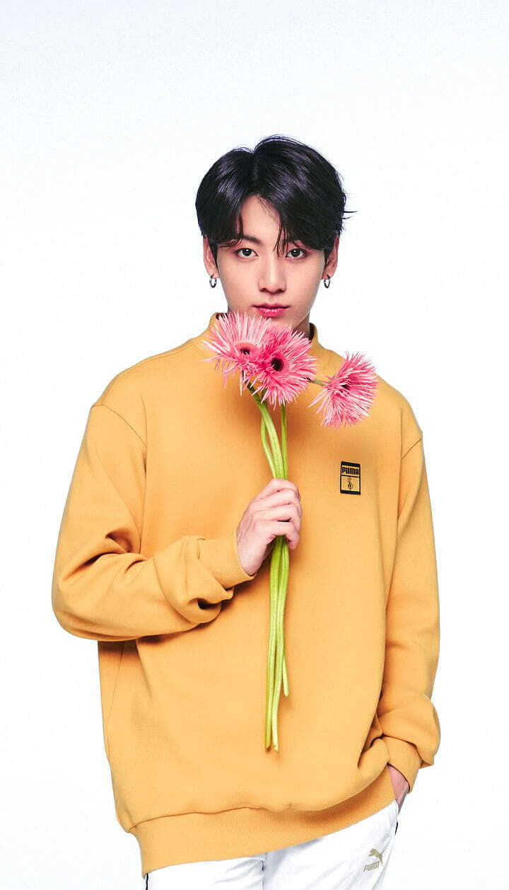 Jungkook 桌布 壁紙 — 一位身穿芥末黃色運動衫的年輕男子，在純白色背景前拿著粉紅色非洲菊雛菊。