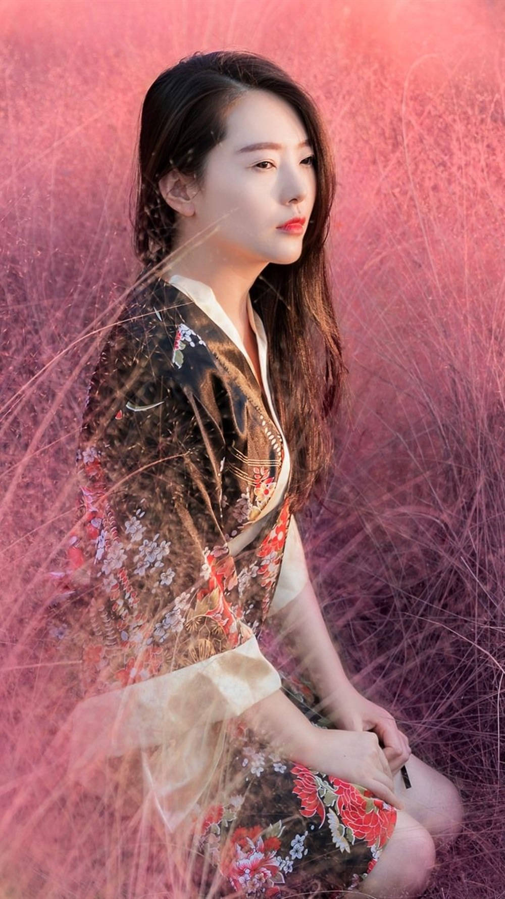 美女 桌布 壁紙 — 一位身穿花卉和服的女士在柔和溫暖的光線下，優雅地坐在高高的粉紅色草叢中。