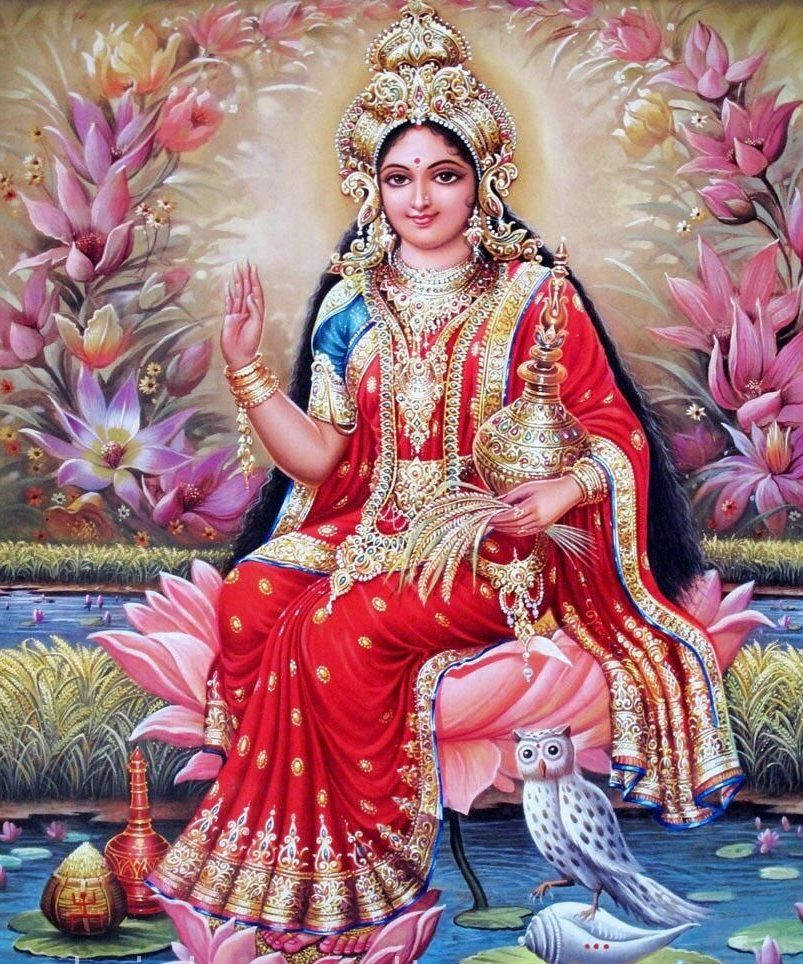 Lakshmi 桌布 壁紙 — 一位身穿華麗紅金服飾的神聖女神，優雅地坐在粉紅蓮花上，周圍環繞著盛開的花朵和一隻貓頭鷹。