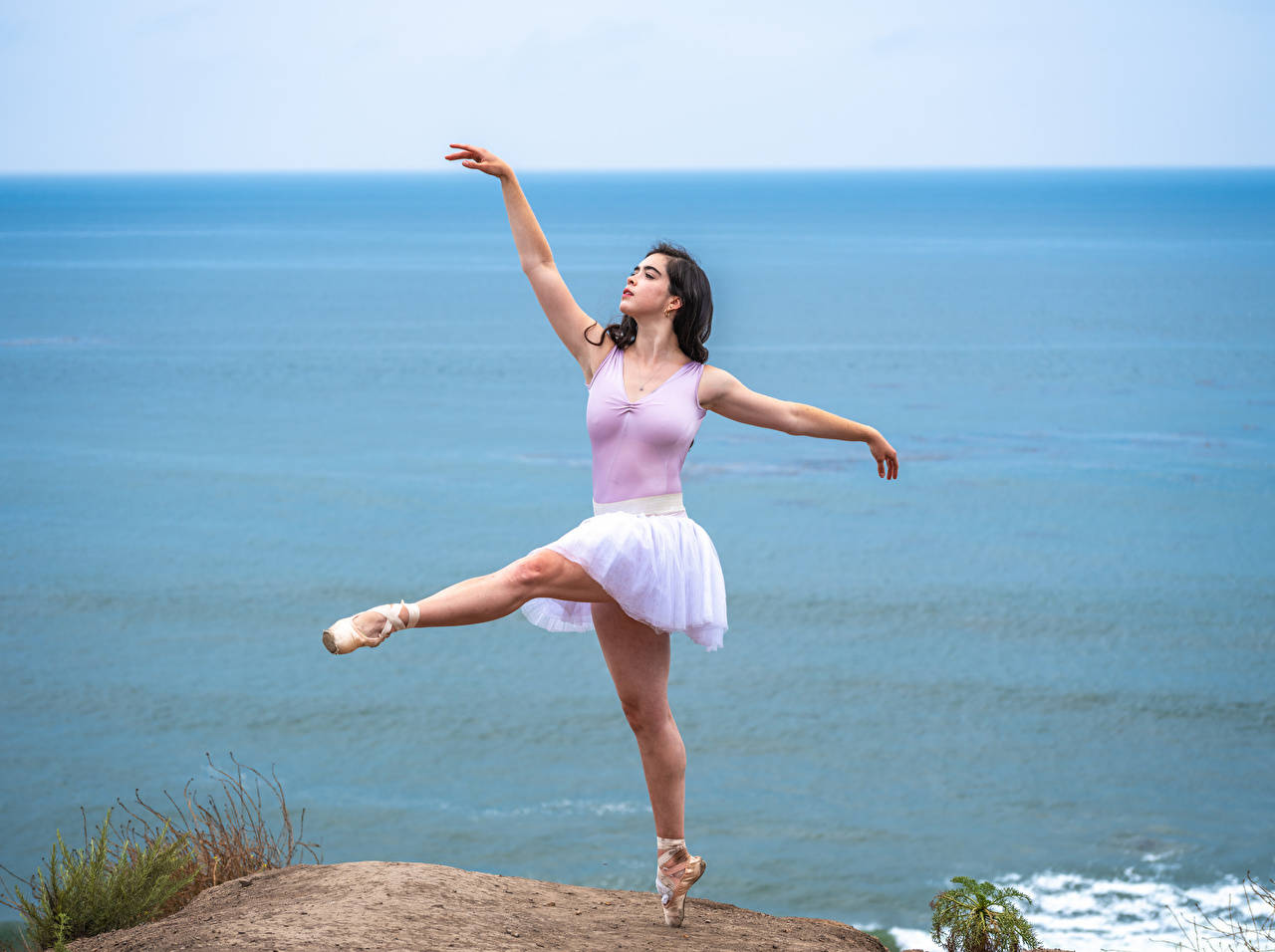 dancer 桌布 壁紙 — 一位身穿薰衣草色緊身衣和白色芭蕾舞裙的芭蕾舞者，在俯瞰廣闊藍色海洋的懸崖上優雅地踮起腳尖保持平衡。
