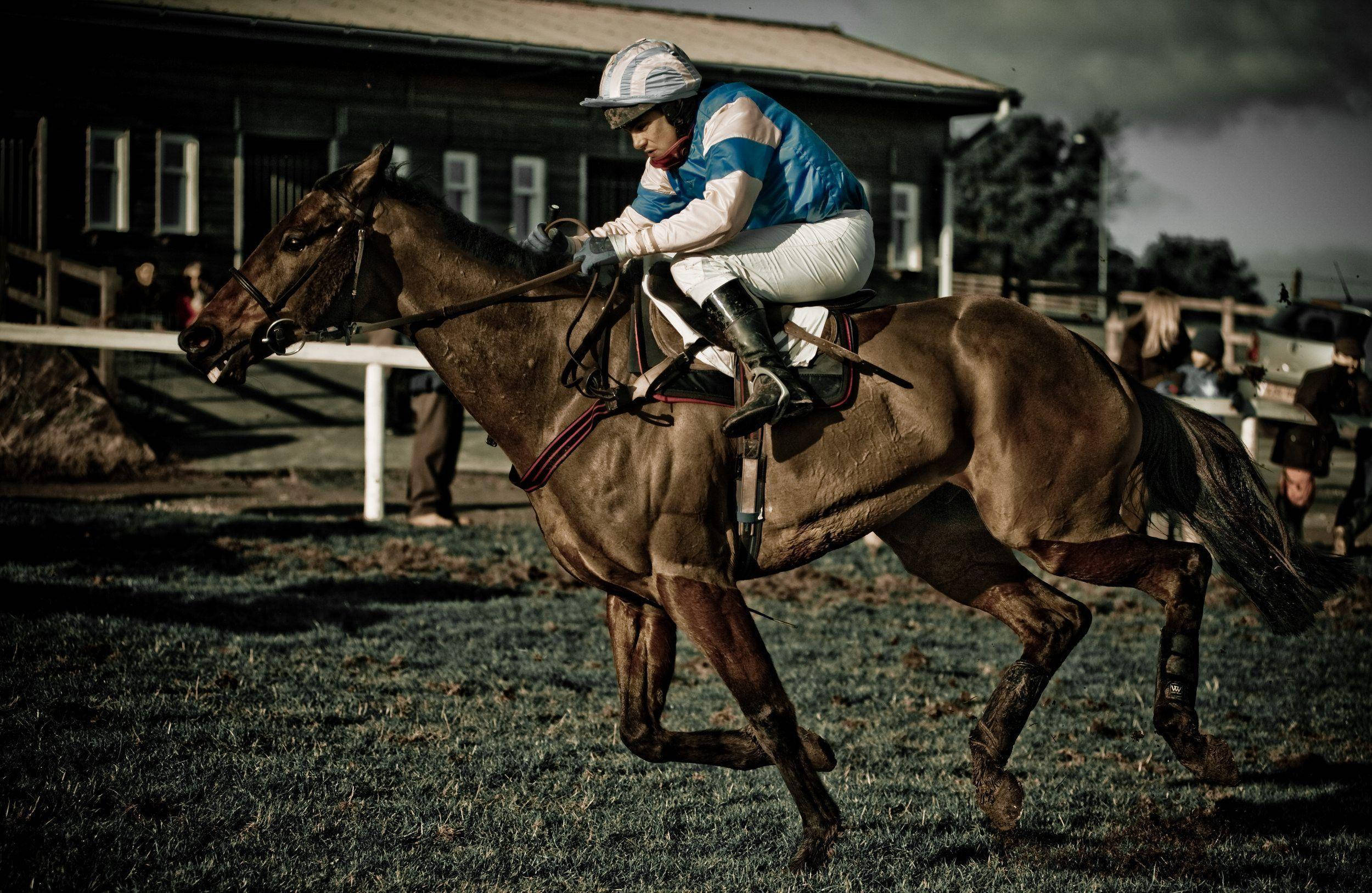 Horse Racing 桌布 壁紙 — 一位身穿藍白綢緞的騎師騎著一匹強壯的棕色賽馬，在陰天下的草地上奔馳。