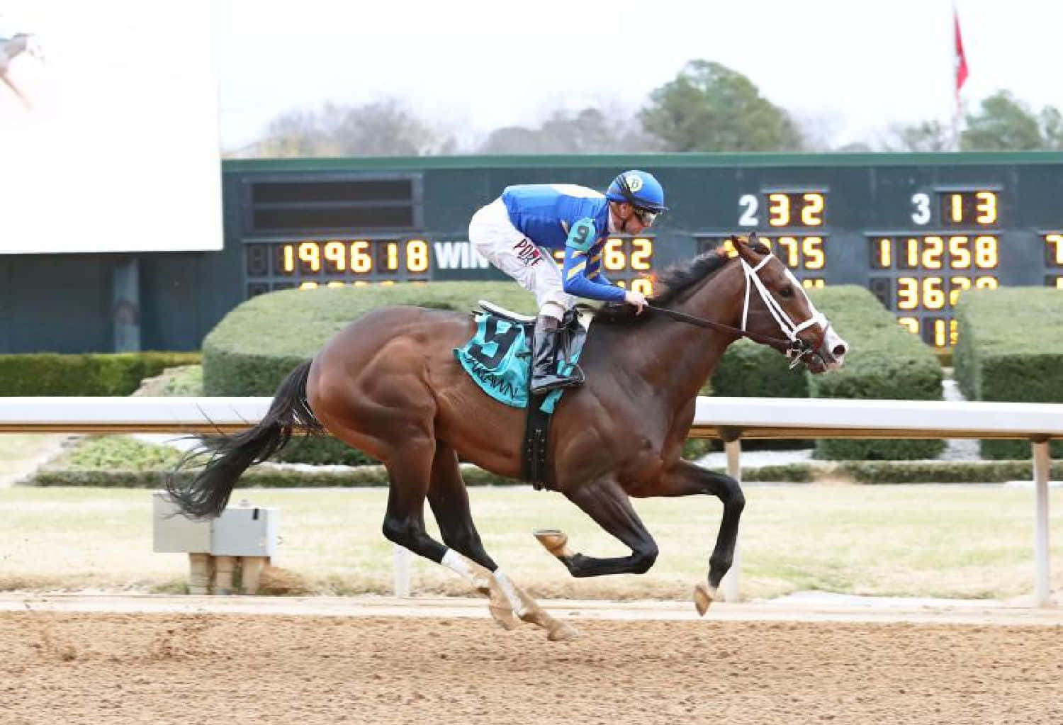 Kentucky Derby 桌布 壁紙 — 一位身穿藍白色衣服的騎師向前傾，他的棕色賽馬在背景有記分板的泥地賽道上強勁奔馳。