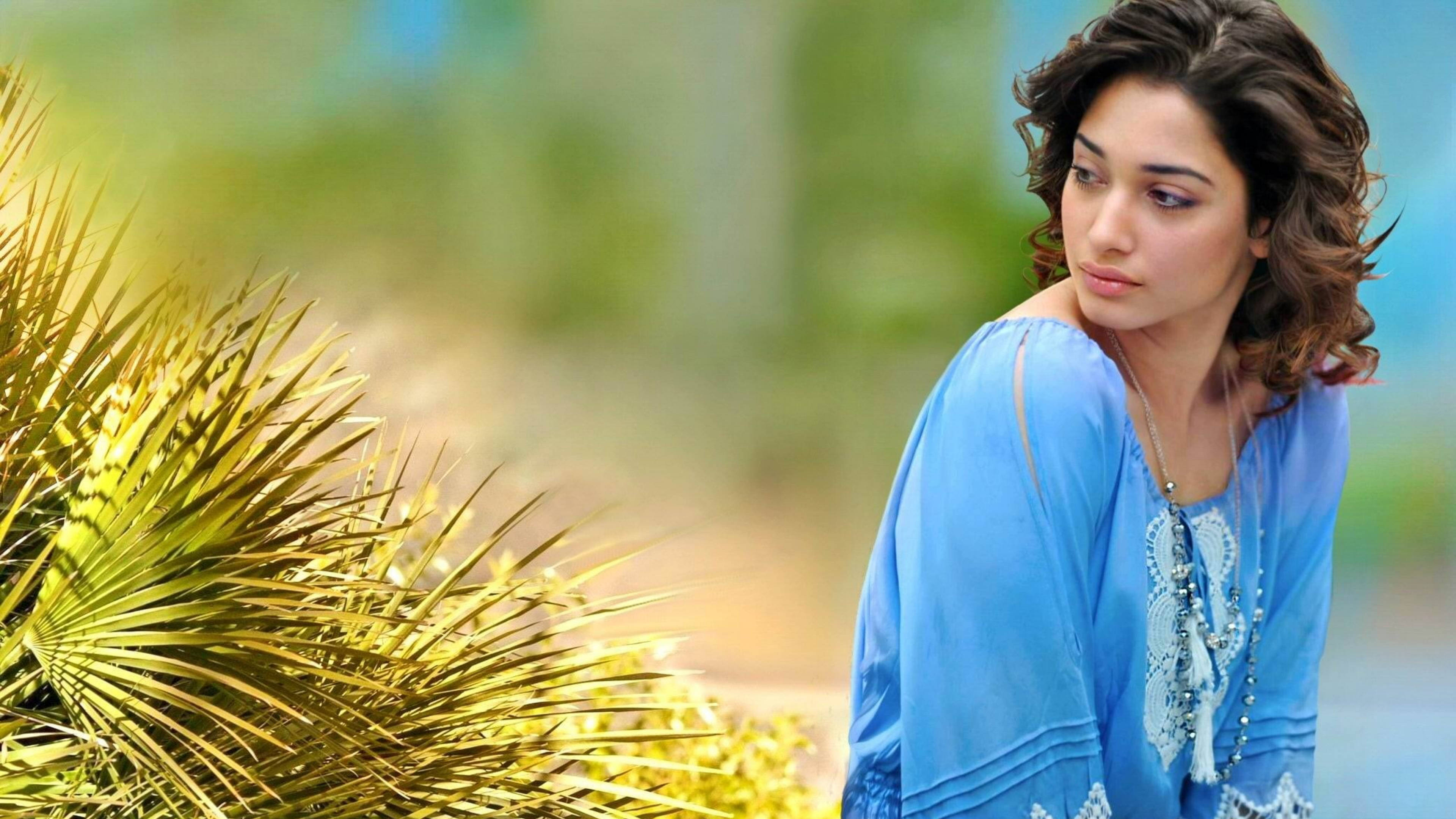 tamannaah bhatia 桌布 壁紙 — 一位身穿藍色刺繡上衣的女性，在柔和日光下，若有所思地凝視著一株帶刺的金色植物。