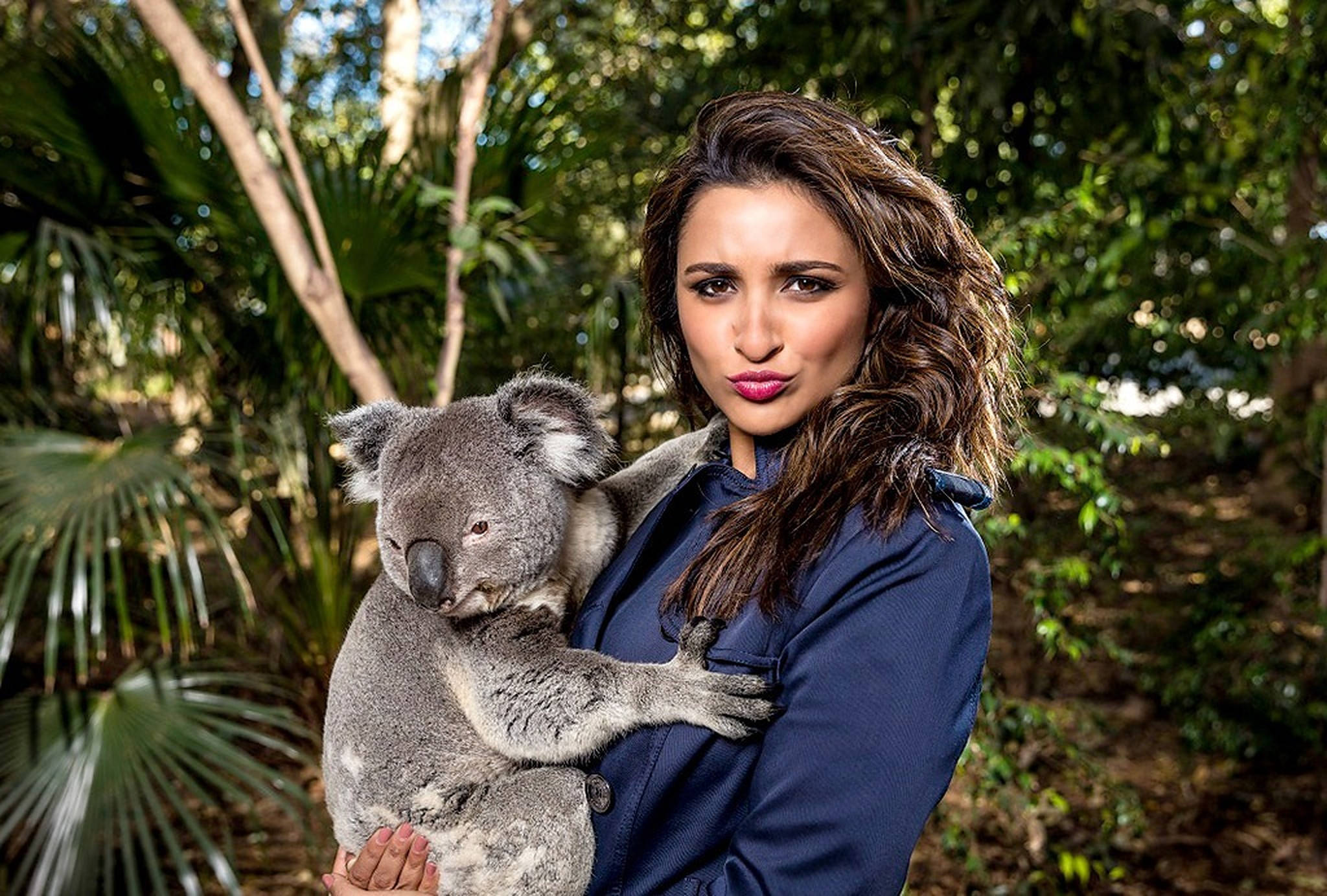 Parineeti 桌布 壁紙 — 一位身穿藍色外套的女子在陽光普照、綠葉茂盛的森林中抱著一隻毛茸茸的無尾熊。