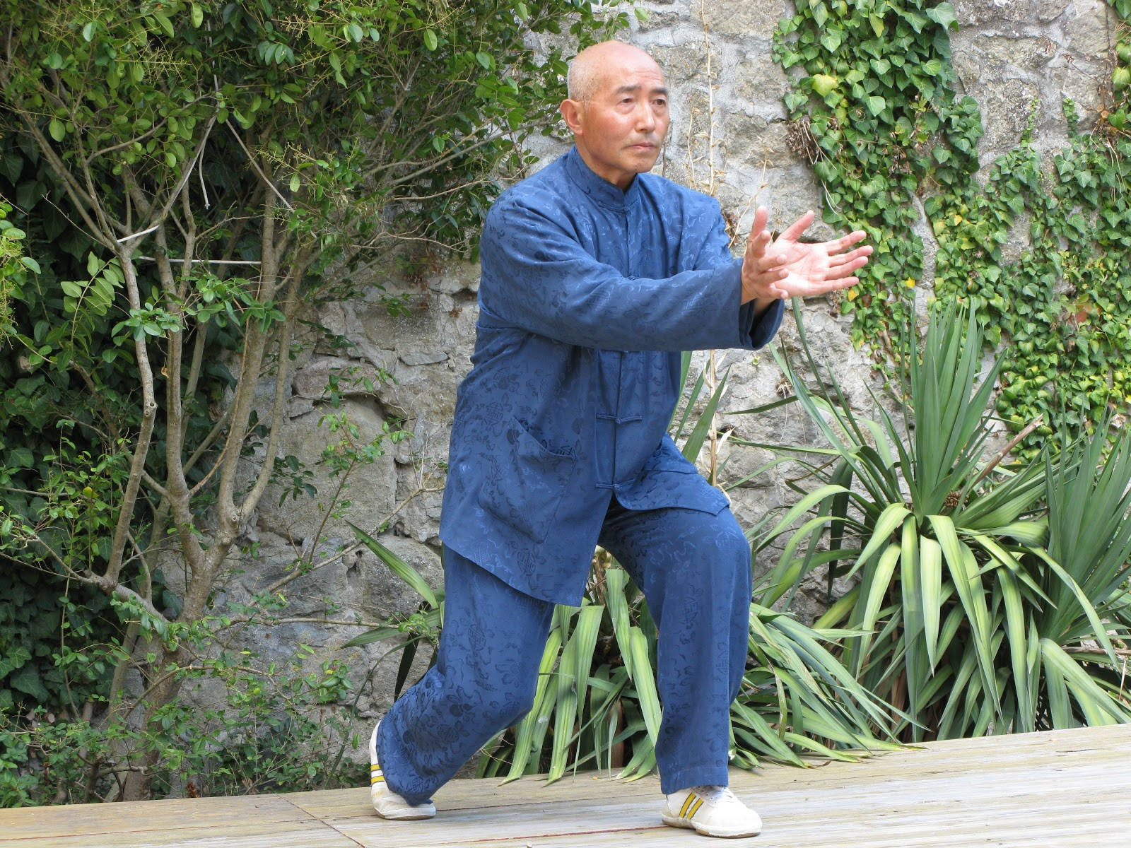 Exercise 桌布 壁紙 — 一位身穿藍色武術服的長者在木製甲板上練習優雅的姿勢，周圍環繞著茂密的綠植和石牆。