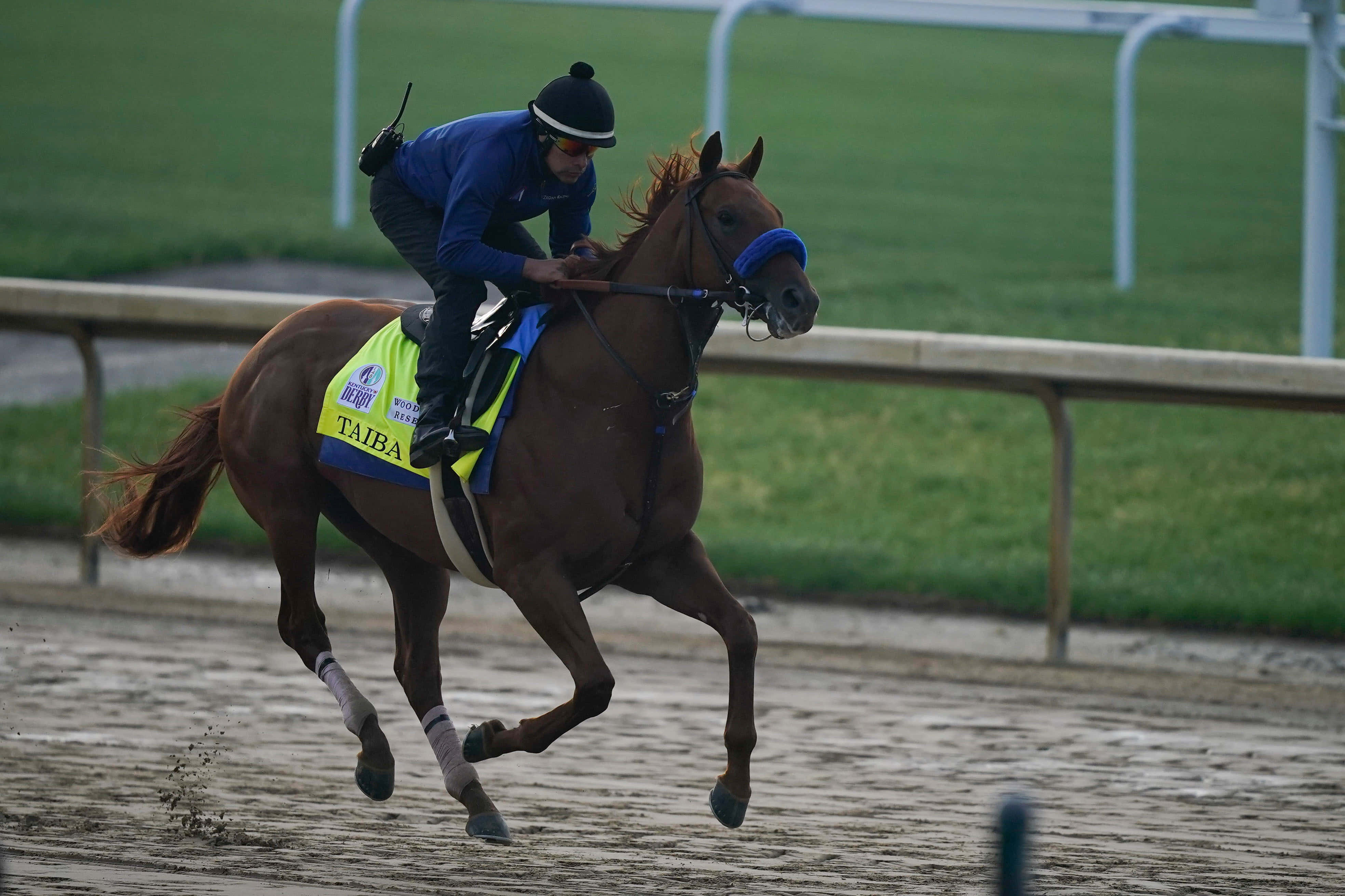 Kentucky Derby 桌布 壁紙 — 一位身穿藍色衣服的騎師身體前傾，一匹戴著藍色眼罩的栗色賽馬在泥濘的賽道上強力奔馳。