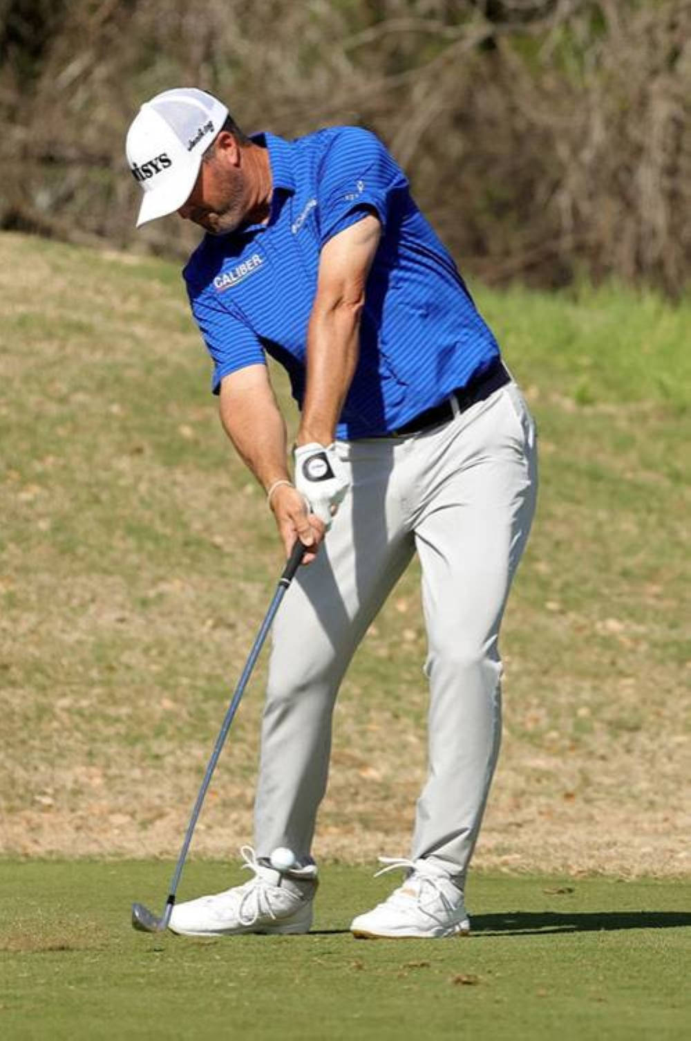 Ryan Palmer 桌布 壁紙 — 一位身穿藍色襯衫和白色帽子的高爾夫球手，在陽光明媚的高爾夫球場上揮桿，背景是乾草和樹木。