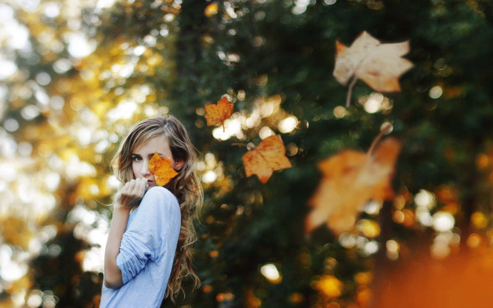 Autumn Wind 桌布 壁紙 — 一位身穿藍色襯衫的年輕女子將一片秋葉貼在臉上，金色樹葉在陽光照耀的樹木間飄落。