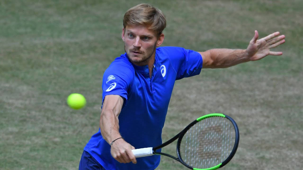 Tennis 桌布 壁紙 — 一位身穿藍色襯衫的男性網球選手在草地場上揮拍擊打一個亮黃色的球。