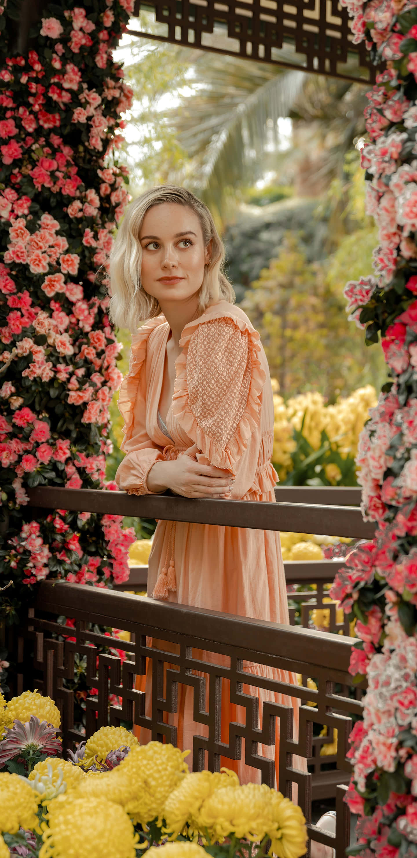 brie larson 桌布 壁紙 — 一位身穿蜜桃色連衣裙的女性倚靠在木製欄杆上，周圍環繞著層層疊疊的粉紅玫瑰和黃色花朵，在柔和日光下。