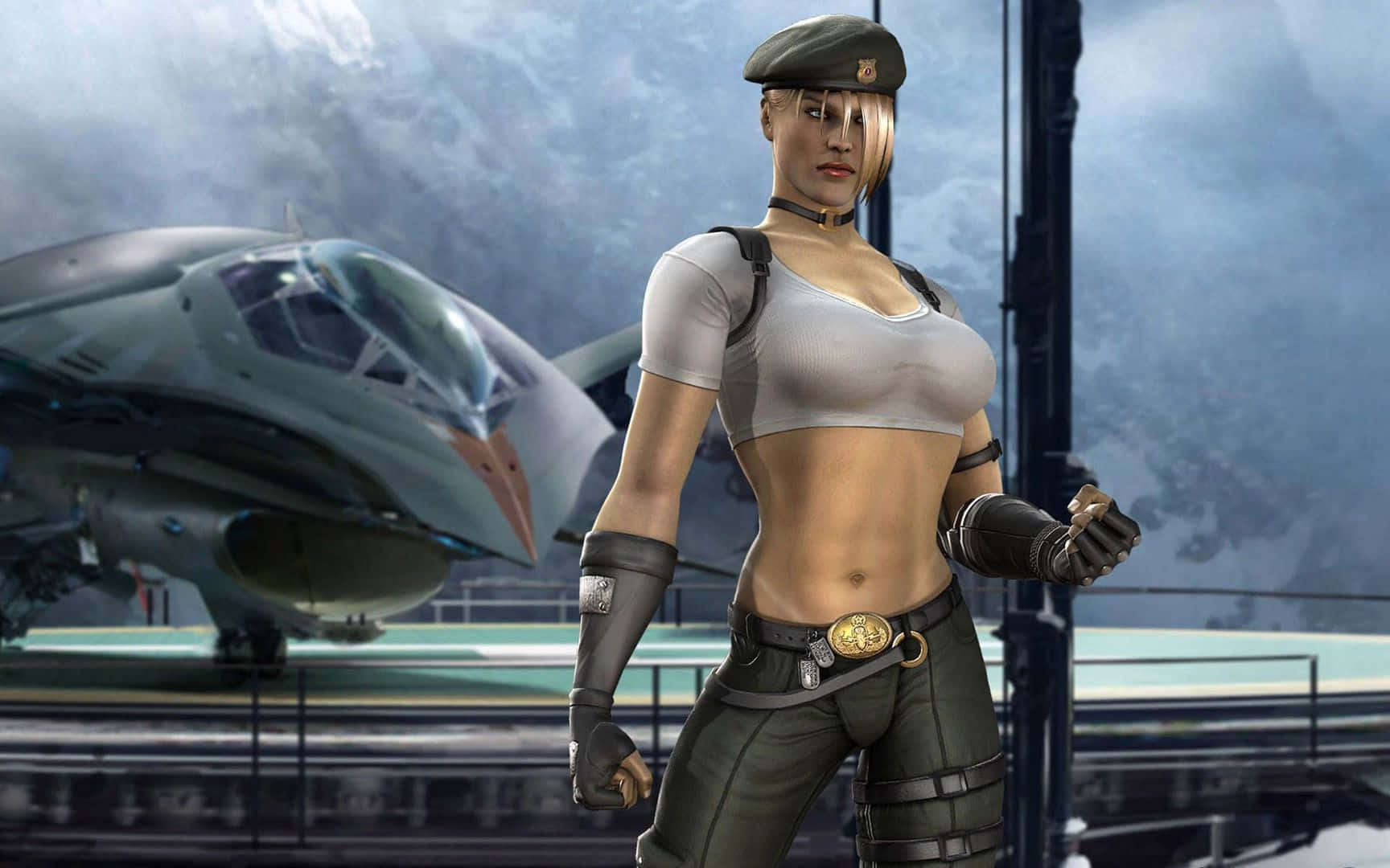 Mortal Kombat Characters 桌布 壁紙 — 一位身穿軍裝的女戰鬥機飛行員自信地站在陰天機場的噴射機前。