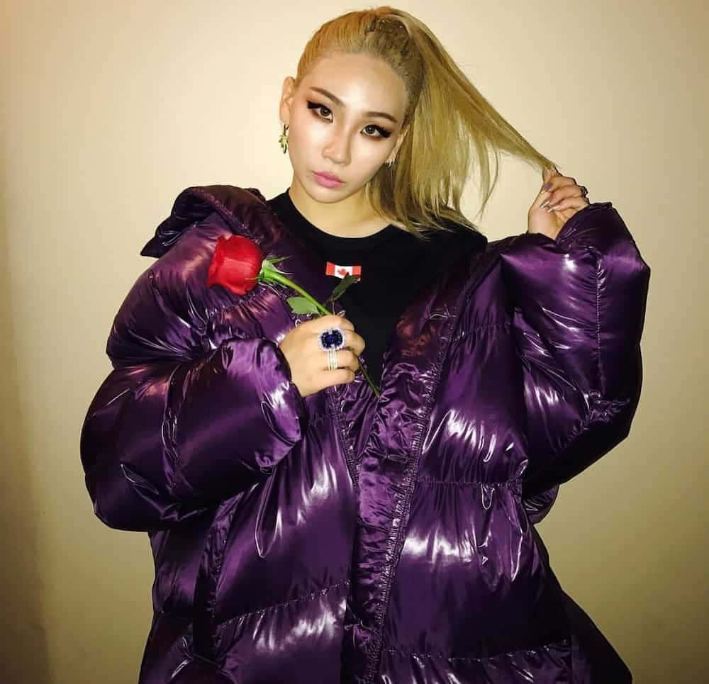 2ne1 桌布 壁紙 — 一位身穿閃亮紫色羽絨外套的女性，在米色牆壁前，一邊拉著她的金色頭髮，一邊拿著一朵紅玫瑰。