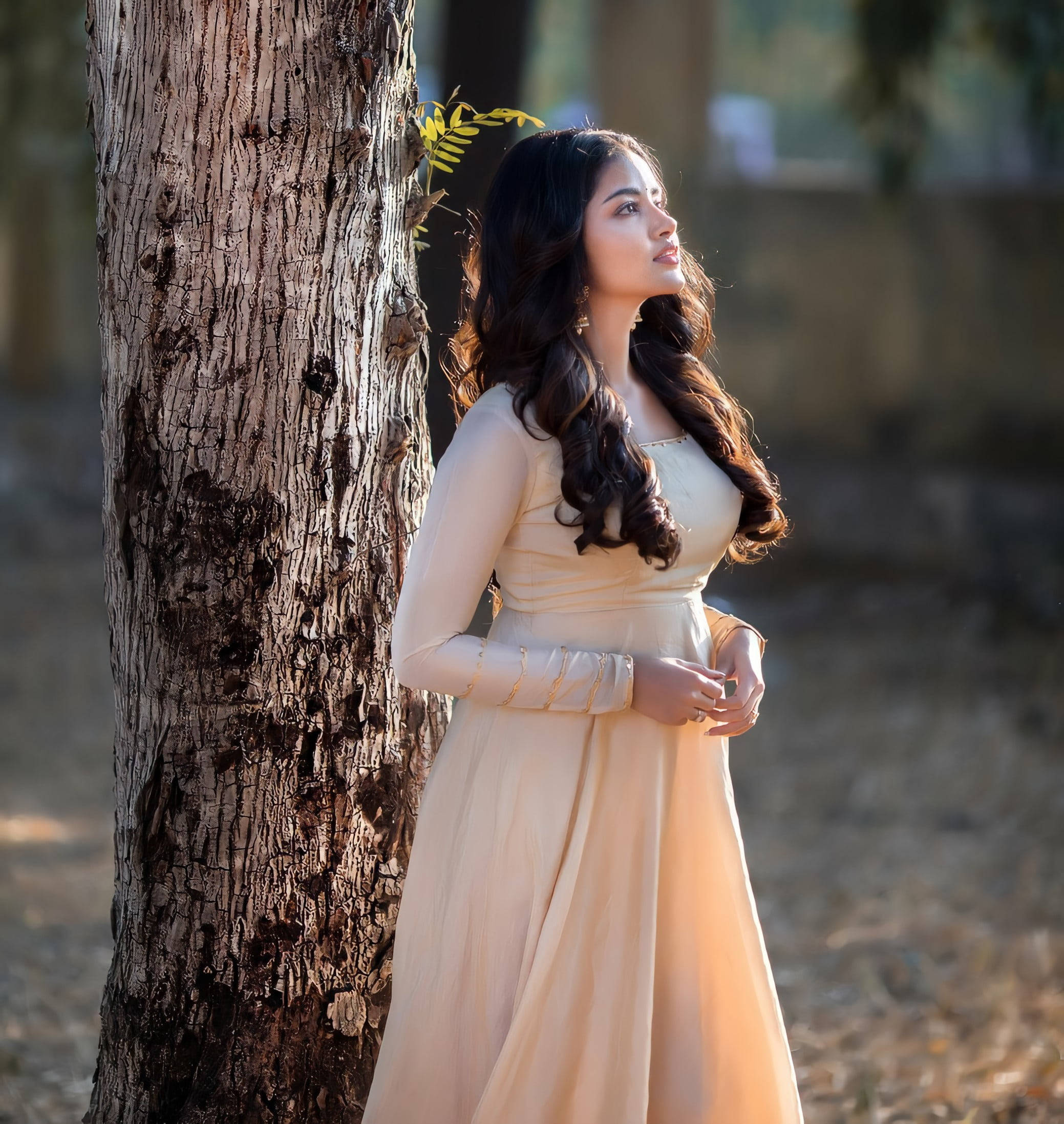 anupama parameswaran 桌布 壁紙 — 一位身穿飄逸奶油色連衣裙的女性在陽光明媚的林間空地上靠著一棵有紋理的樹幹。