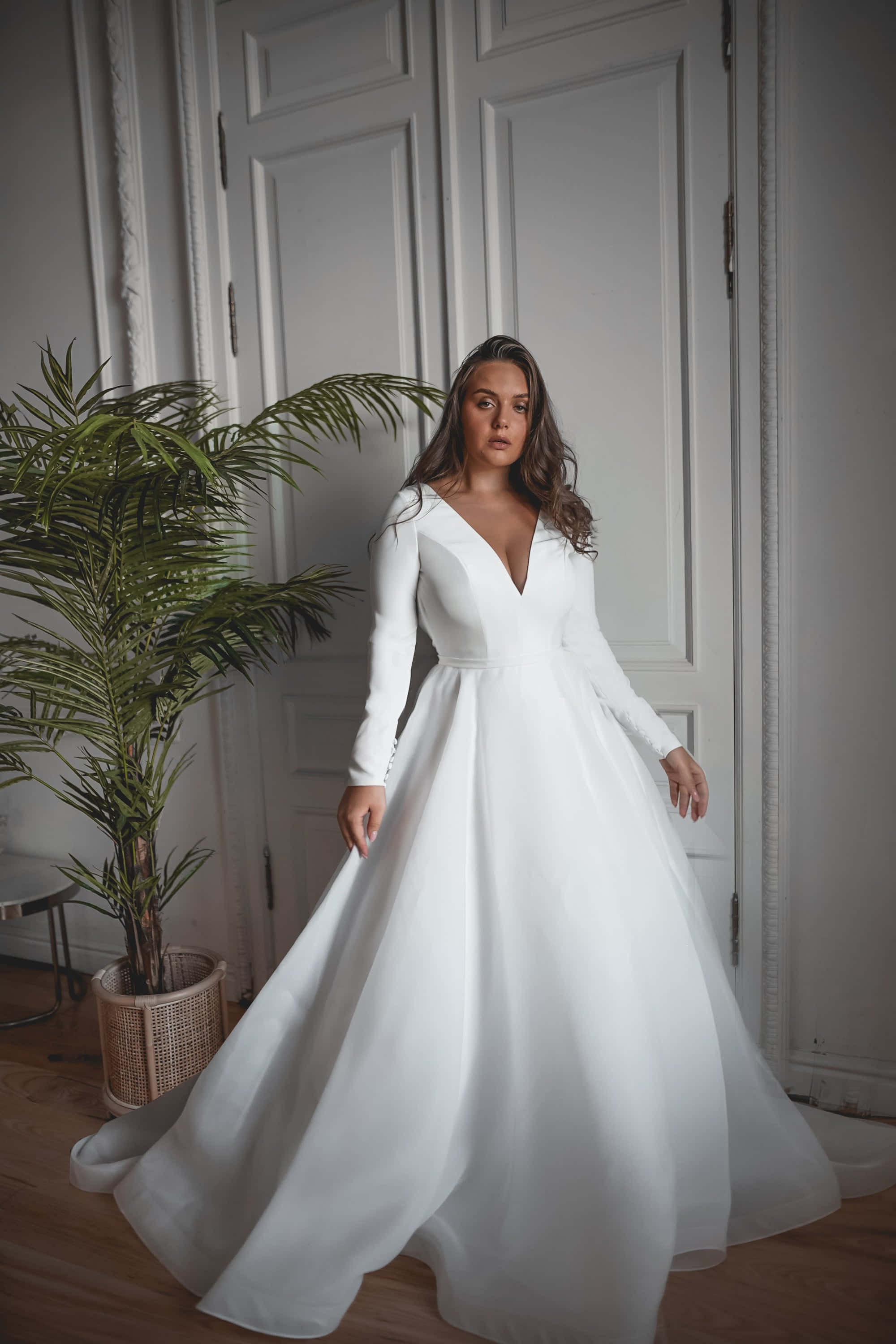 Bride's Dress 桌布 壁紙 — 一位身穿飄逸白色婚紗的女性，優雅地站在盆栽棕櫚樹旁，房間光線柔和，配有白色鑲板門。