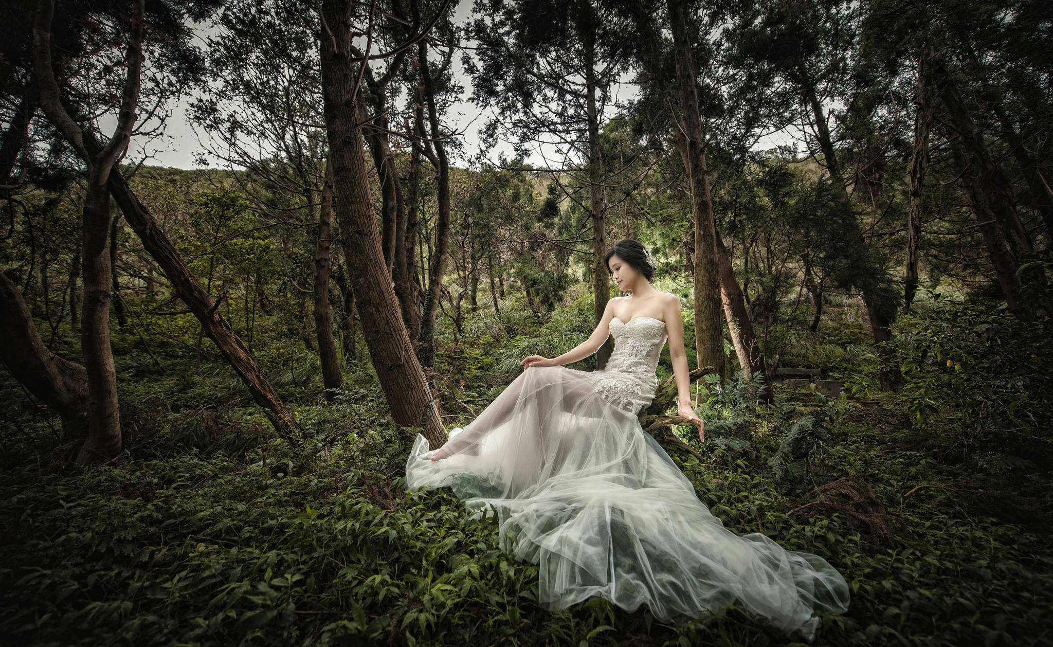 Bride 桌布 壁紙 — 一位身穿飄逸白色婚紗的女性，在陰沉天空下優雅地坐在茂密的綠色森林中。
