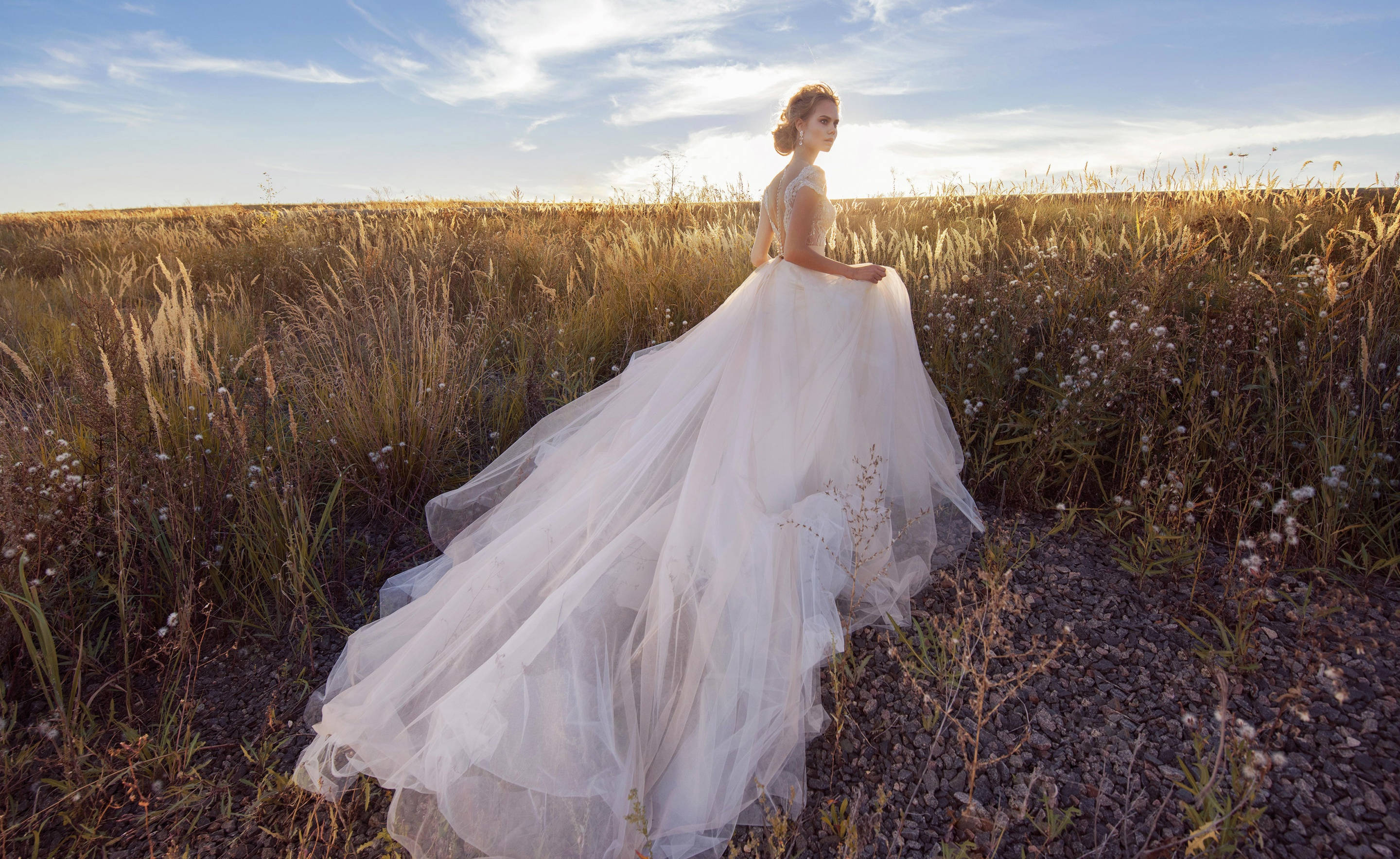 Wedding Dress 桌布 壁紙 — 一位身穿飄逸白色婚紗的新娘，優雅地站在夕陽下的金色田野中，她的剪影沐浴在溫暖的逆光中。