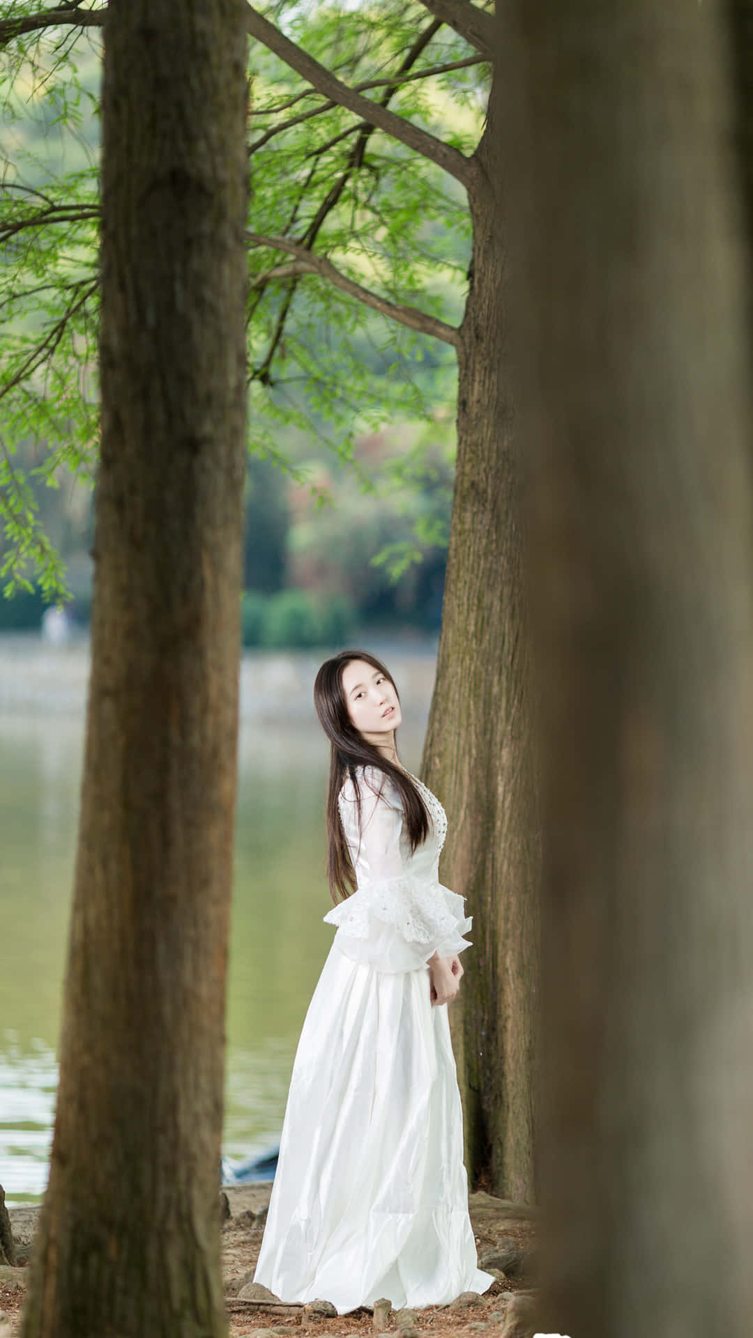 trees 桌布 壁紙 — 一位身穿飄逸白色連衣裙的女子，優雅地站在寧靜湖泊旁的高大樹木之間，沐浴在柔和自然光中。