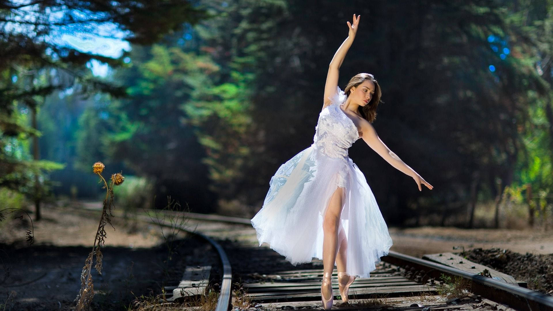 芭蕾 桌布 壁紙 — 一位身穿飄逸白色連衣裙的芭蕾舞者在被茂密綠色森林包圍的風化火車軌道上優雅地跳舞。