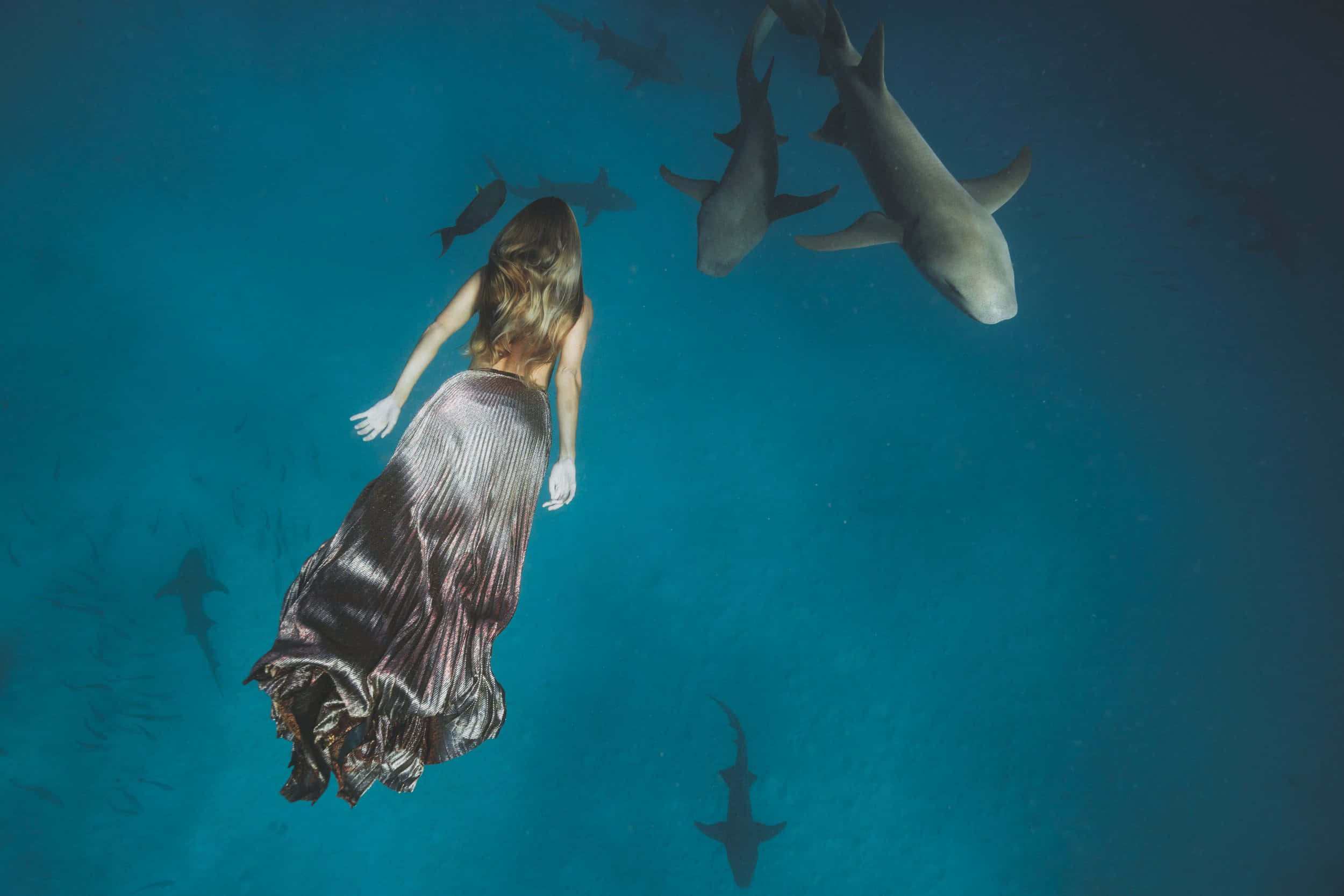 Underwater Scary Ocean 桌布 壁紙 — 一位身穿飄逸長裙的女性在鯊魚環繞的碧綠海水中平靜地滑行。