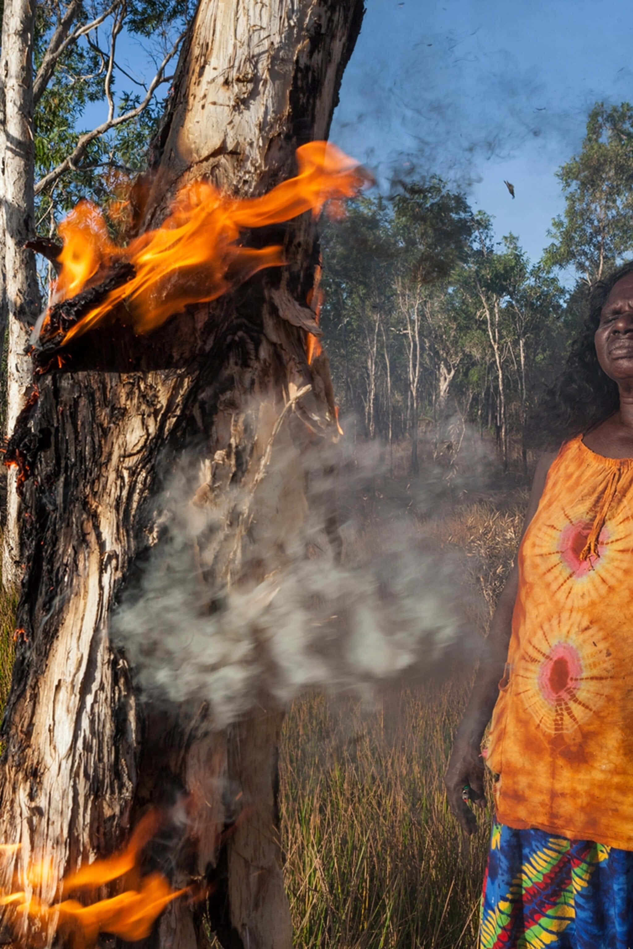 Aboriginal 桌布 壁紙 — 一位身穿鮮豔服裝的女性站在陽光普照的森林中，旁邊是一棵被火焰和滾滾濃煙吞噬的樹。