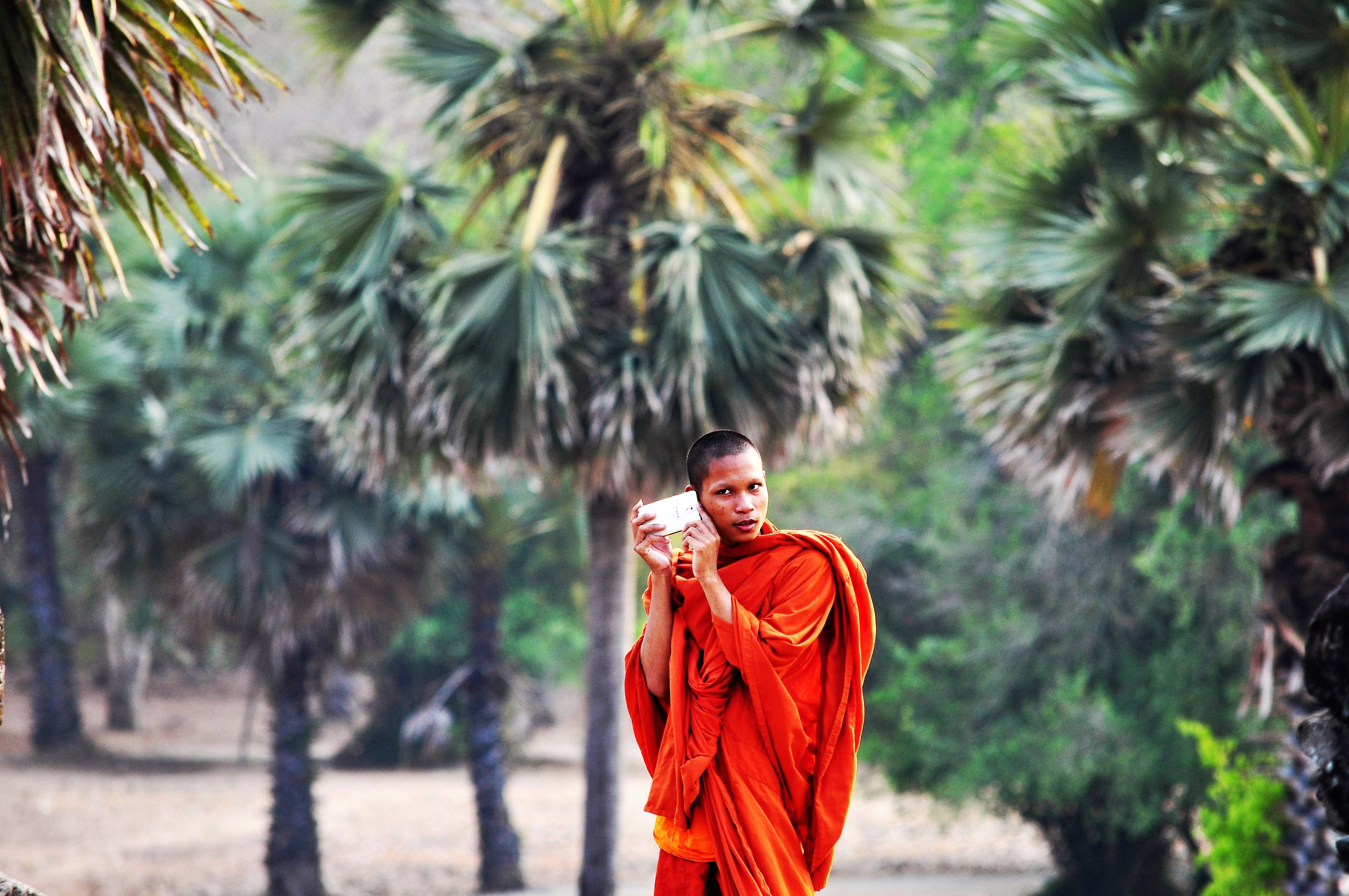Cambodia 桌布 壁紙 — 一位身穿鮮豔橙色僧袍的年輕僧侶，在寧靜的熱帶環境中，在茂密的綠色棕櫚樹間自拍。