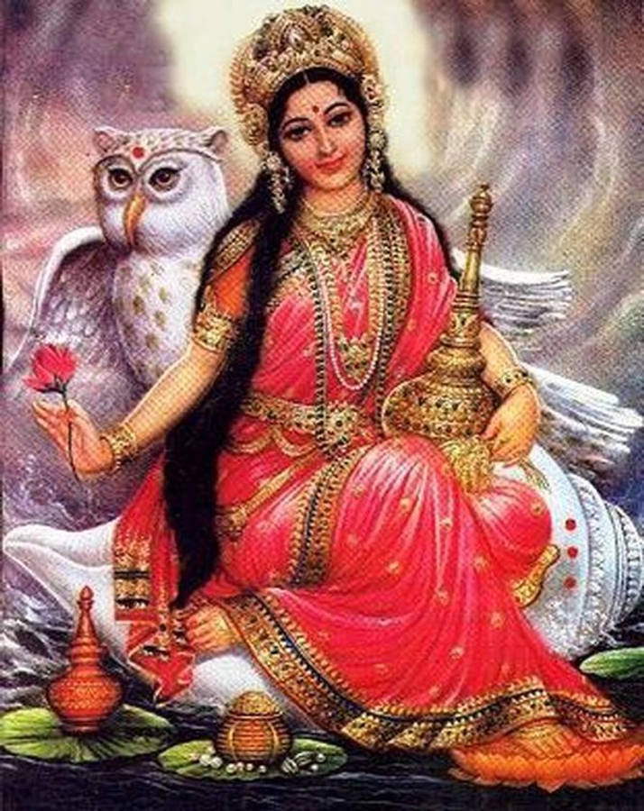 Lakshmi Devi 桌布 壁紙 — 一位身穿鮮豔紅金色服飾的神聖女神優雅地坐在一隻手持紅蓮的白貓頭鷹旁邊。