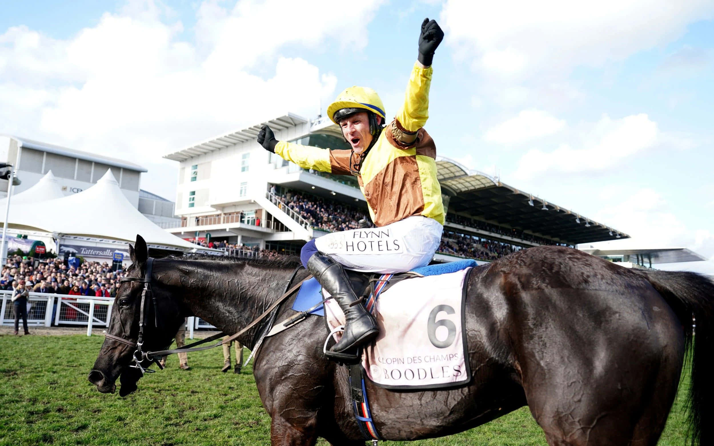 Cheltenham Festival 桌布 壁紙 — 一位身穿黃色和棕色絲綢的騎師，在部分多雲的天空下，於擁擠的賽馬場上騎著深色馬匹慶祝勝利。