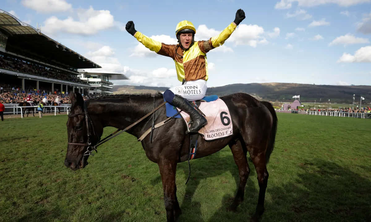 Cheltenham Festival 桌布 壁紙 — 一位身穿黃色和棕色絲綢的騎師，在部分多雲的天空下，於草地賽馬場上騎著一匹深色馬匹慶祝。