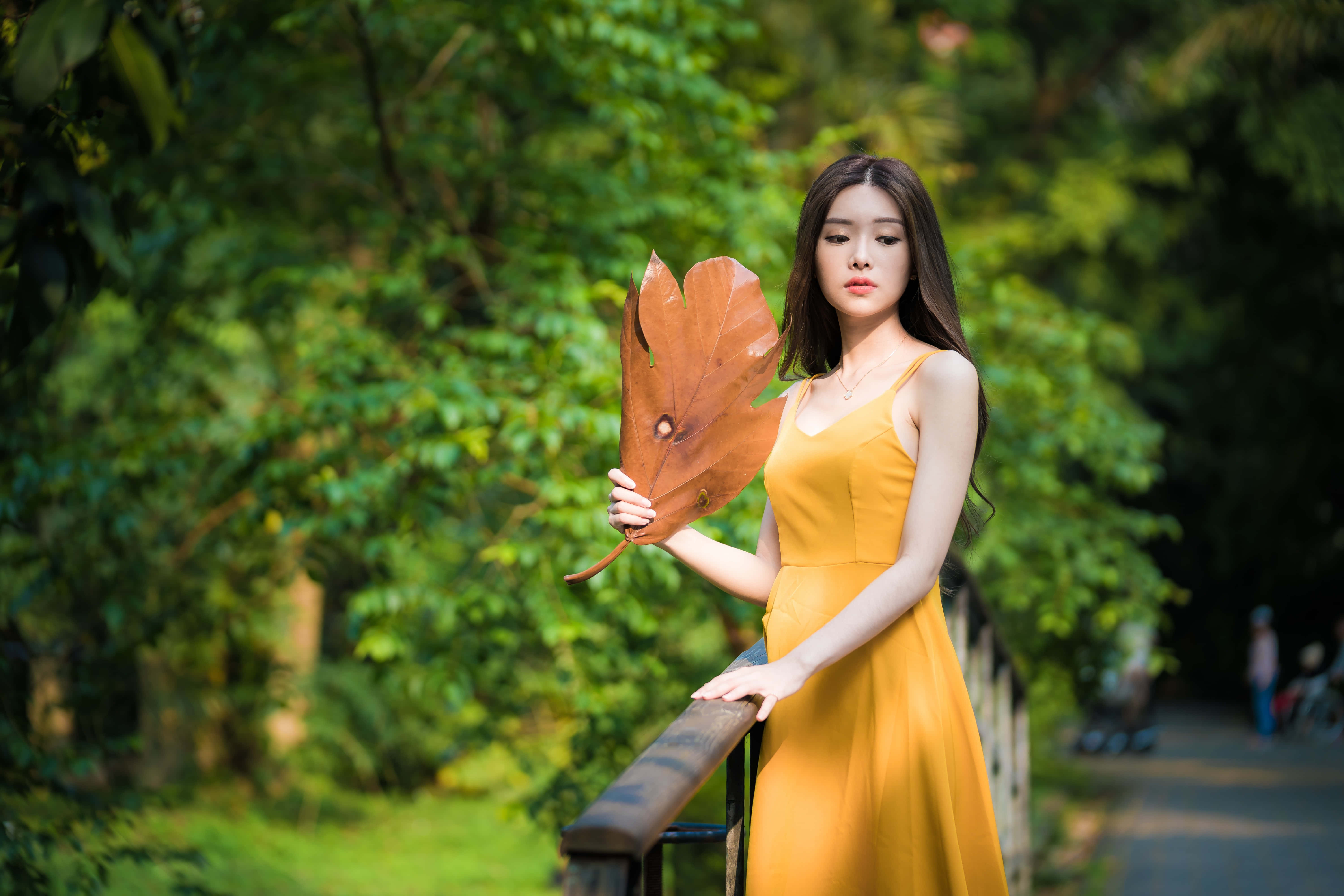 Woman 桌布 壁紙 — 一位身穿黃色連衣裙的女性在鬱鬱蔥蔥的綠色公園裡靠著欄杆，手持一片大棕葉。