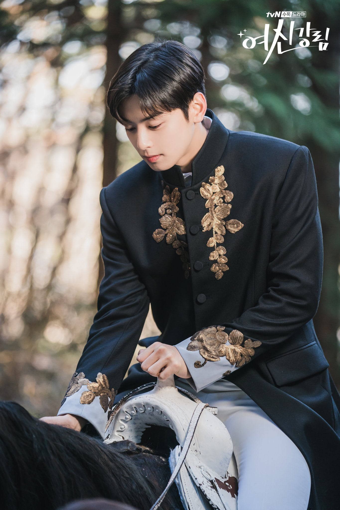 Eunwoo 桌布 壁紙 — 一位身穿黑色刺繡騎馬外套的年輕男子坐在馬背上，身處陽光普照的森林中，背景帶有柔和散景效果。