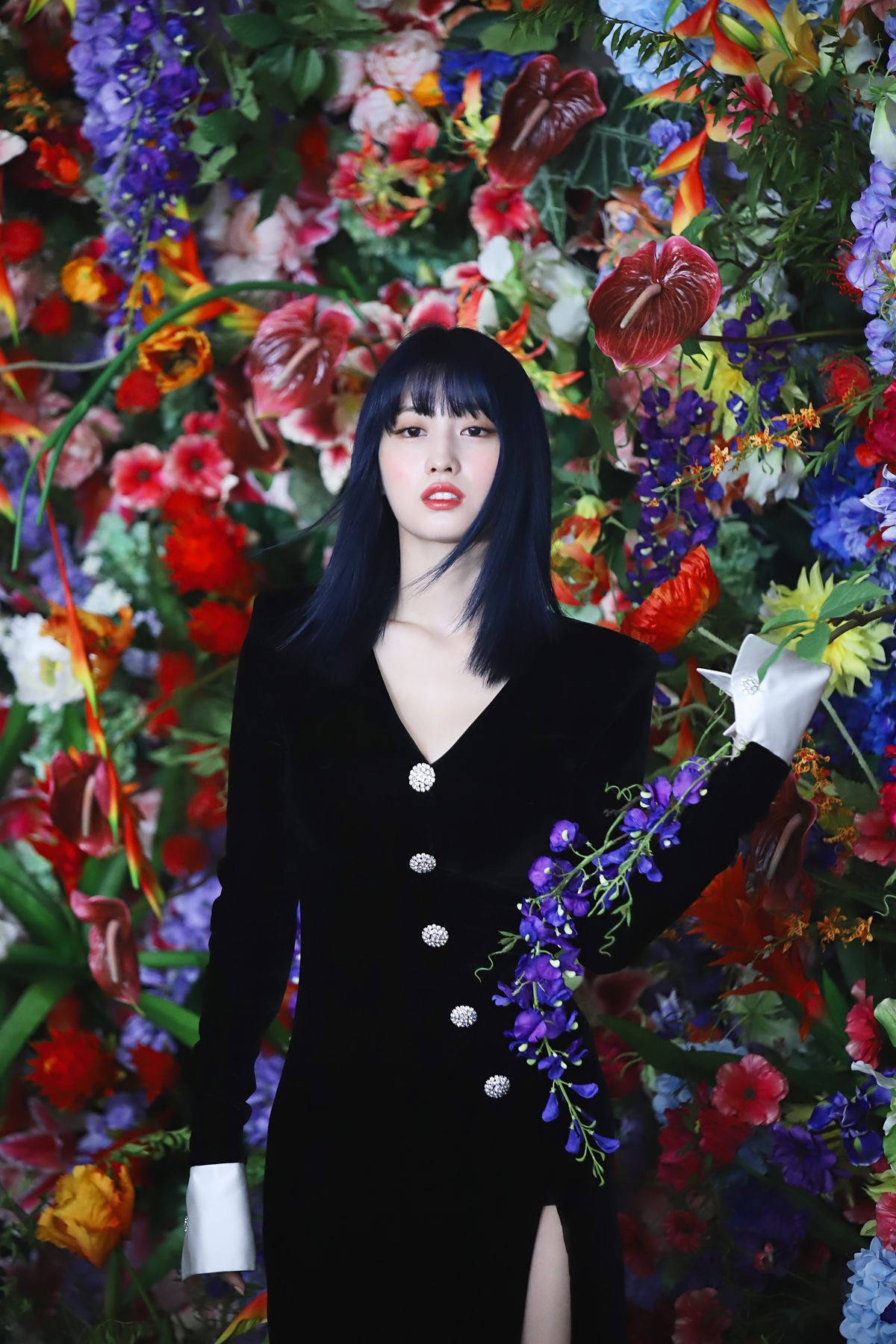 Momo 桌布 壁紙 — 一位身穿黑色天鵝絨連衣裙的女性自信地站在色彩繽紛的花牆前。