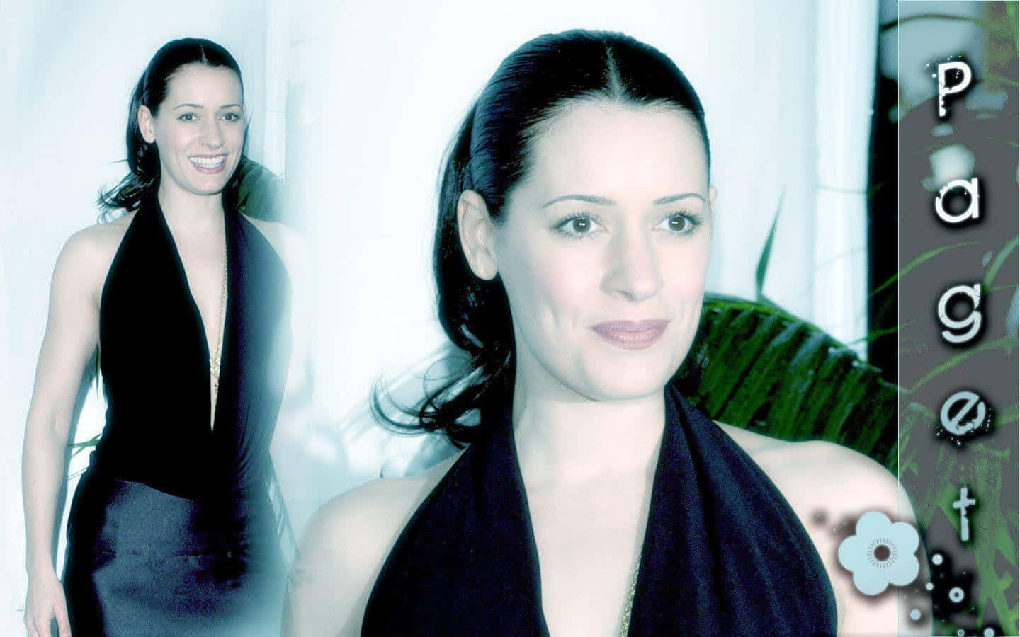 paget brewster 桌布 壁紙 — 一位身穿黑色掛頸連衣裙的女性在明亮的白色背景前微笑，背景點綴著綠色樹葉。