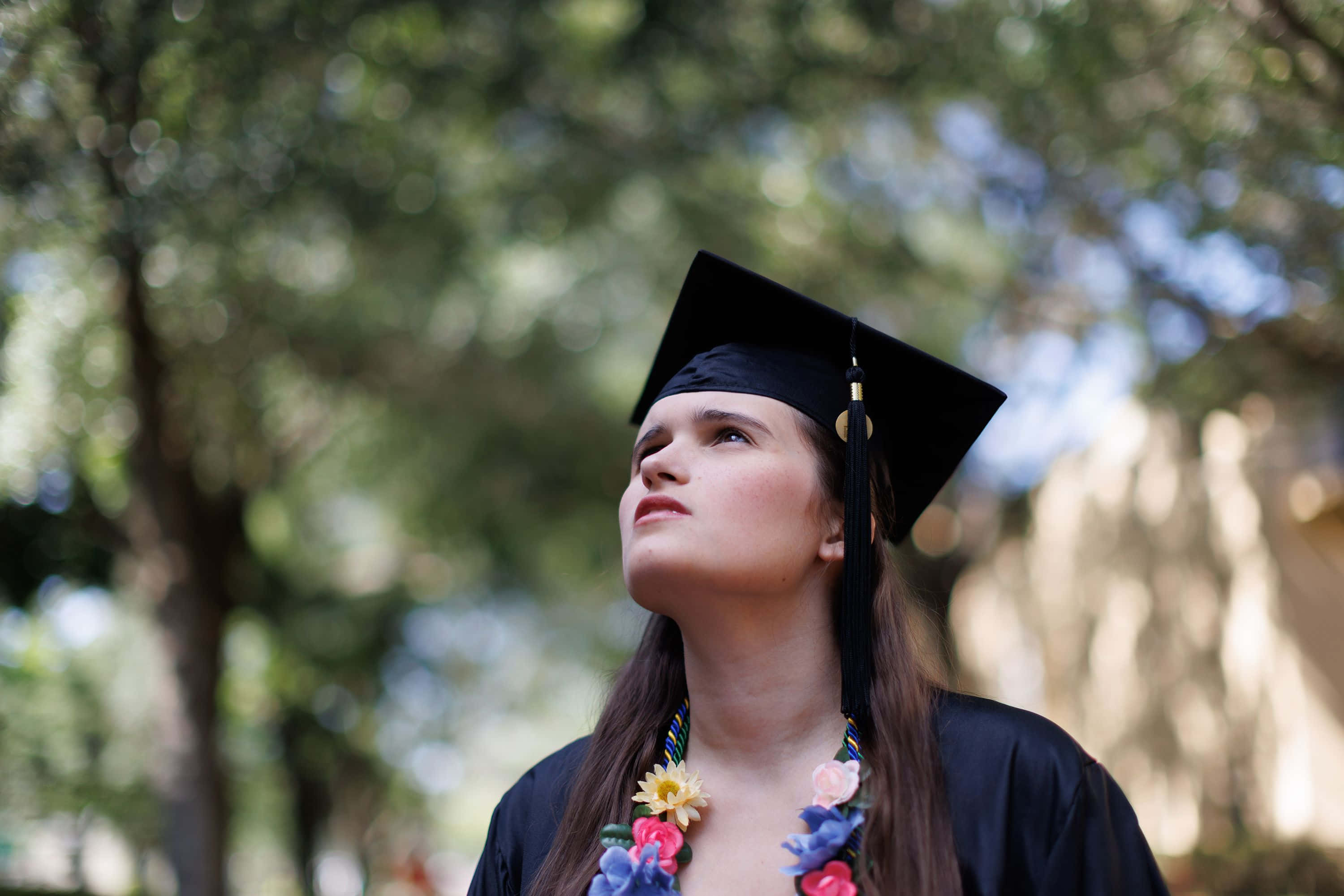Graduation Ceremony 桌布 壁紙 — 一位身穿黑色畢業袍和學士帽的年輕畢業生，在陽光普照的樹木背景下，帶著充滿希望的表情向上仰望。