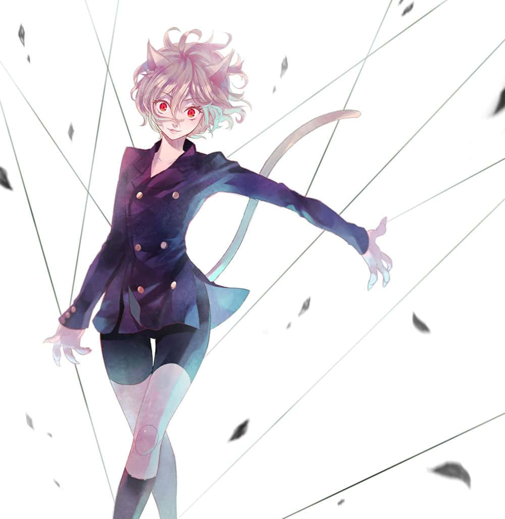 尼飛彼多 [桌布]