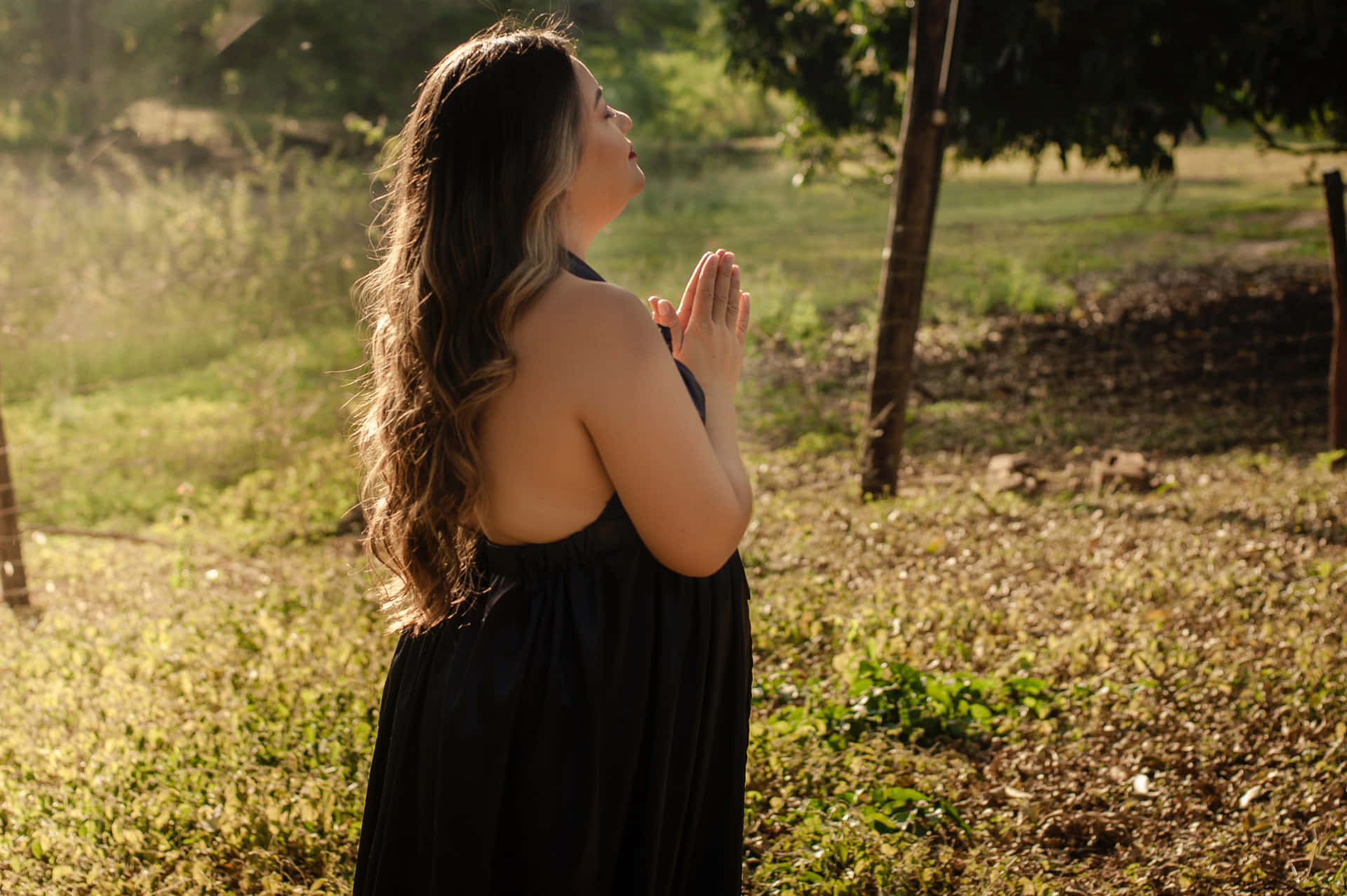 Praying 桌布 壁紙 — 一位身穿黑色連衣裙的女性站在陽光明媚的田野中，雙手合十祈禱，周圍環繞著樹木和金黃色的草。