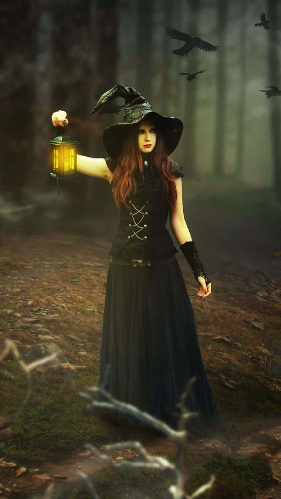 Witch Costumes 桌布 壁紙 — 一位身穿黑色長袍和帽子的女巫，在烏鴉飛過迷霧森林時，手持發光的燈籠。