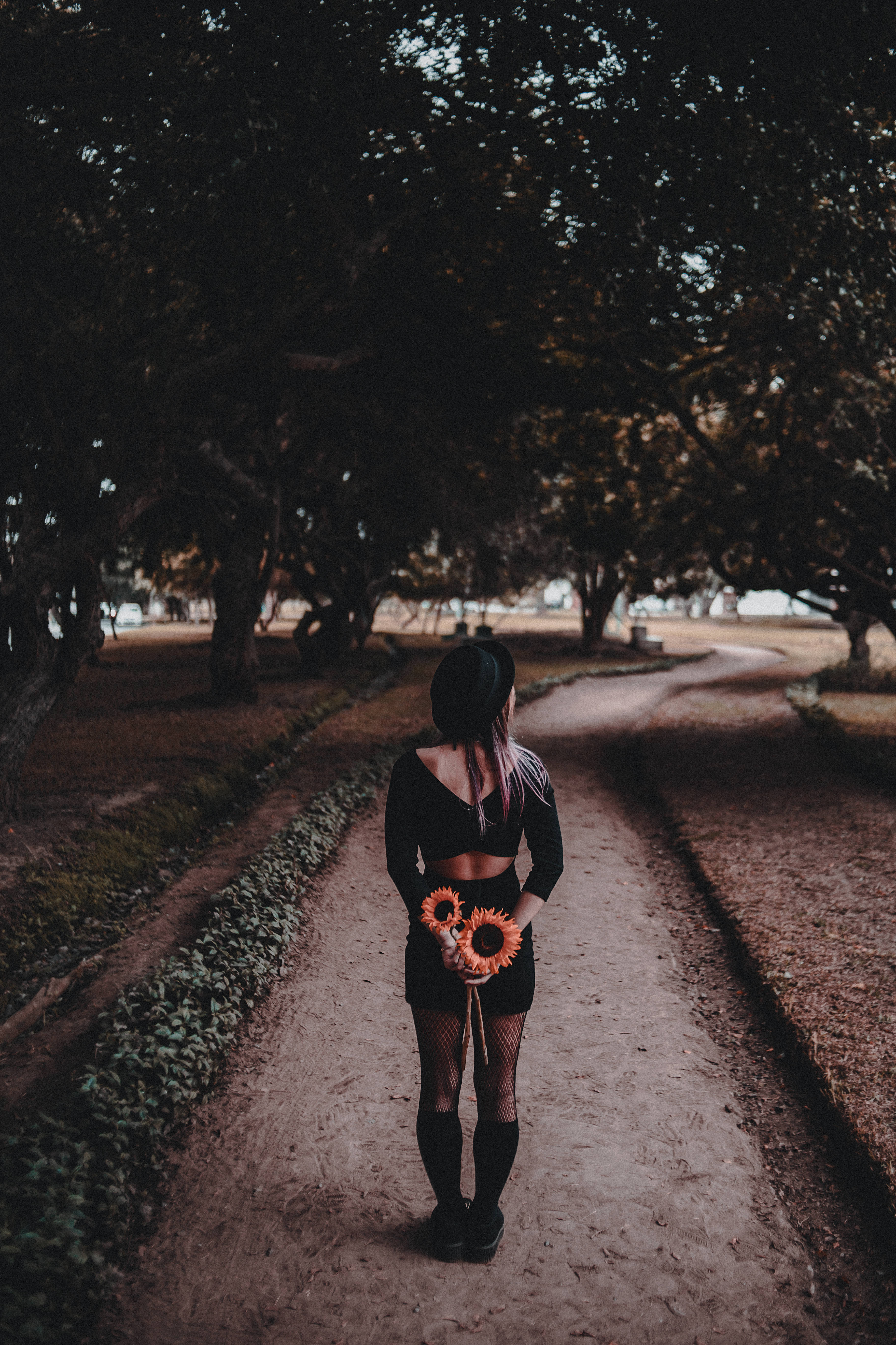 tumblr 花朵 桌布 壁紙 — 一位身穿黑衣的女子在漸暗的光線下，拿著向日葵沿著林蔭小徑走遠。